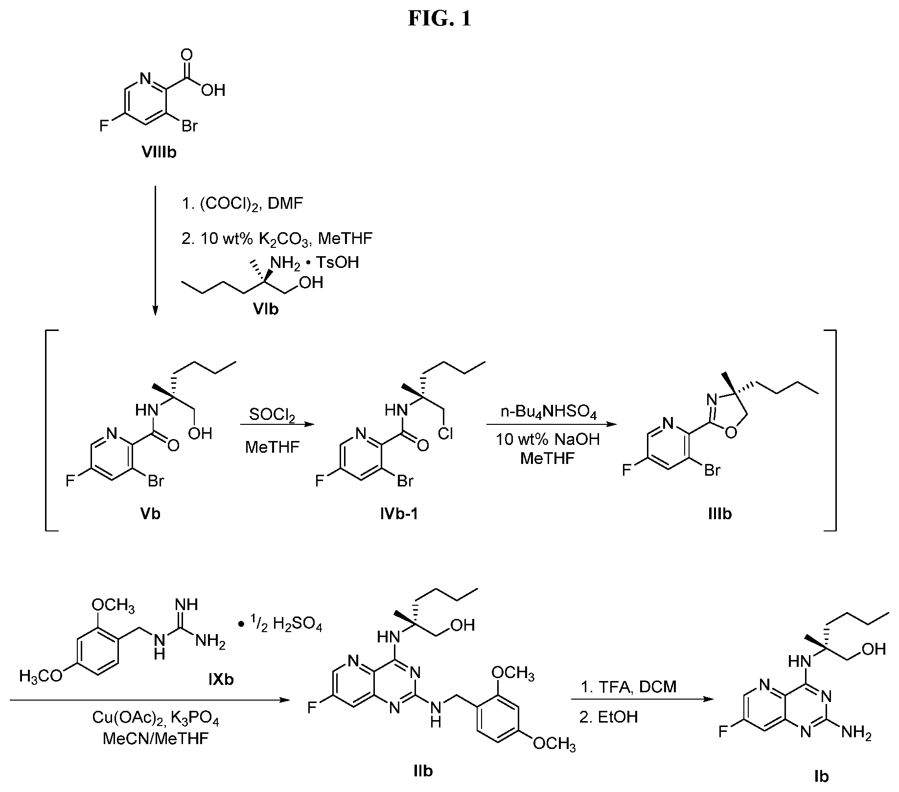 Patent US12590089 Figure 1 – Processes for preparing toll-like receptor modulator compounds