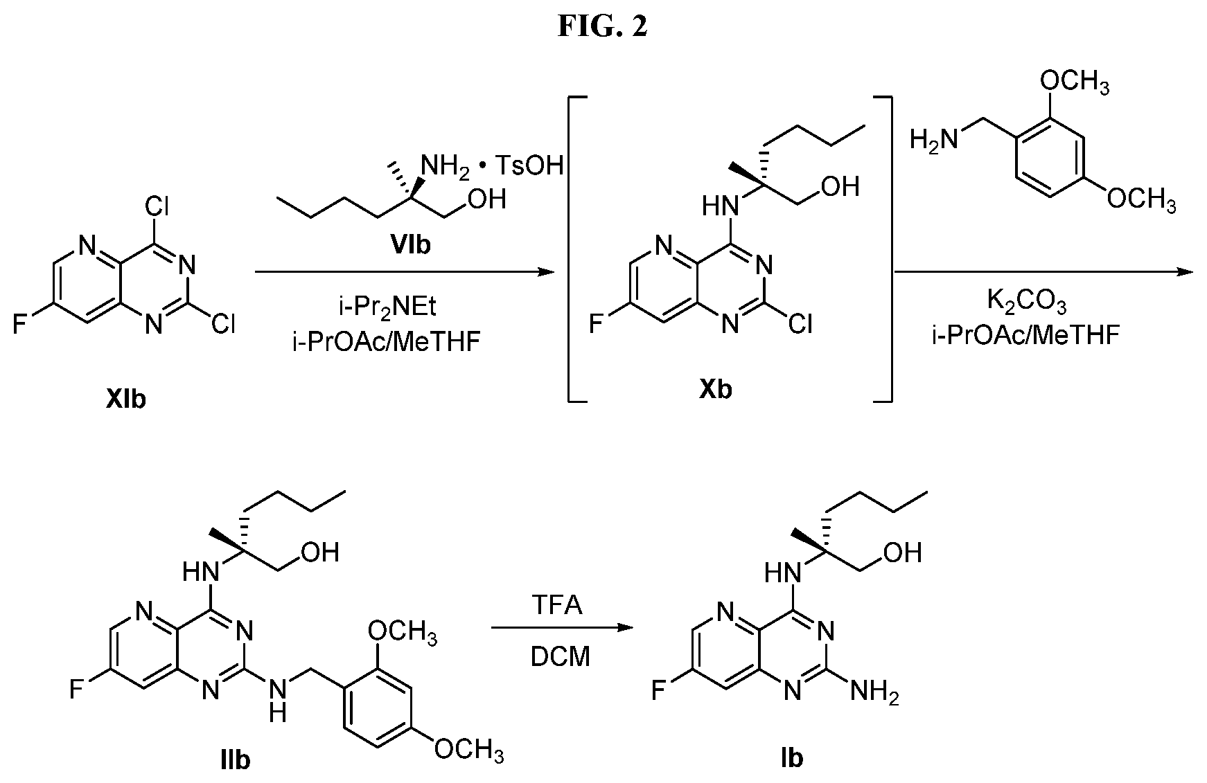 Patent US12590089 Figure 2 – Processes for preparing toll-like receptor modulator compounds