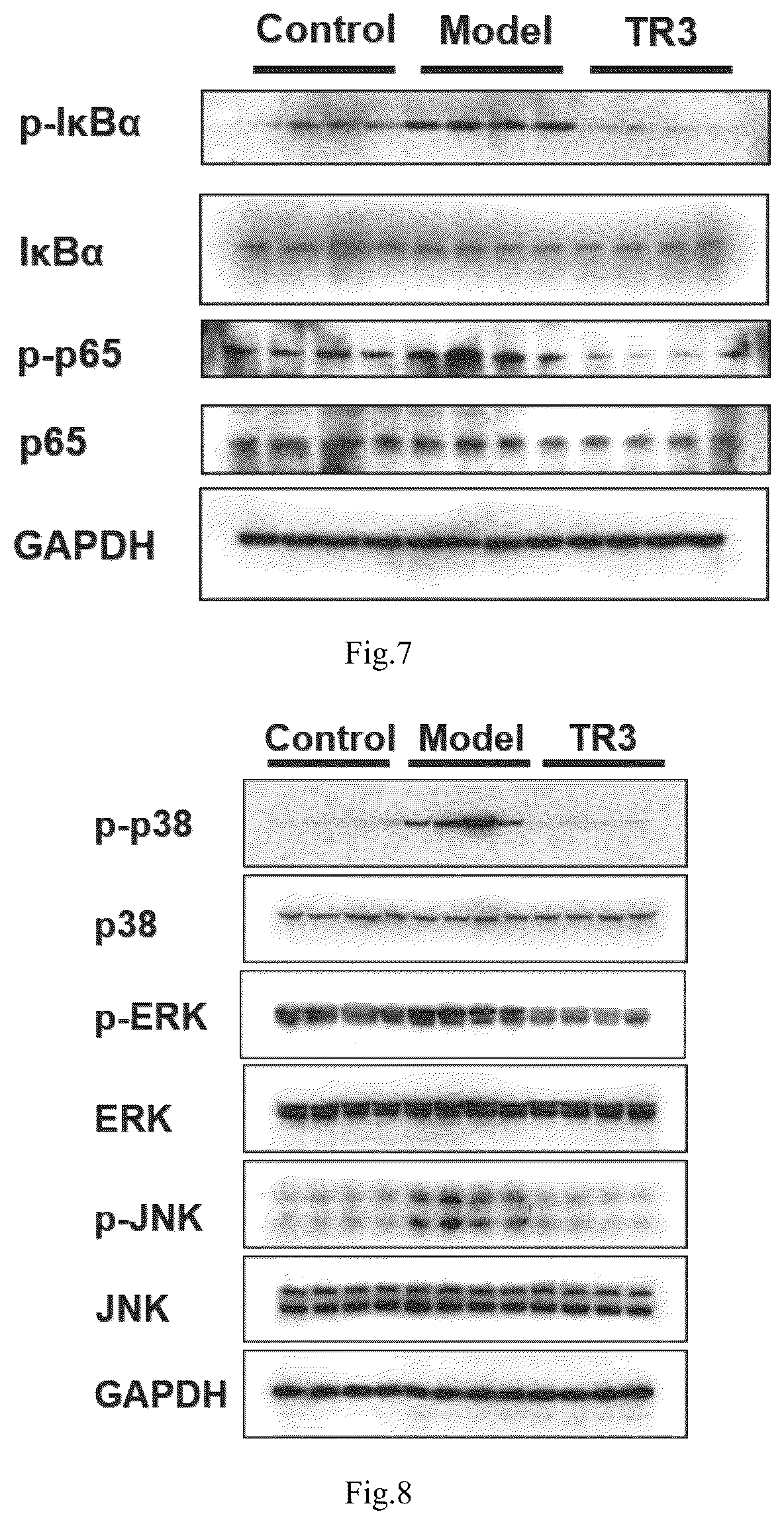Patent US12590093 Figure 5 – Indolo[2′,3′:3,4]pyrido[2,1-b]quinazoline compound and use thereof