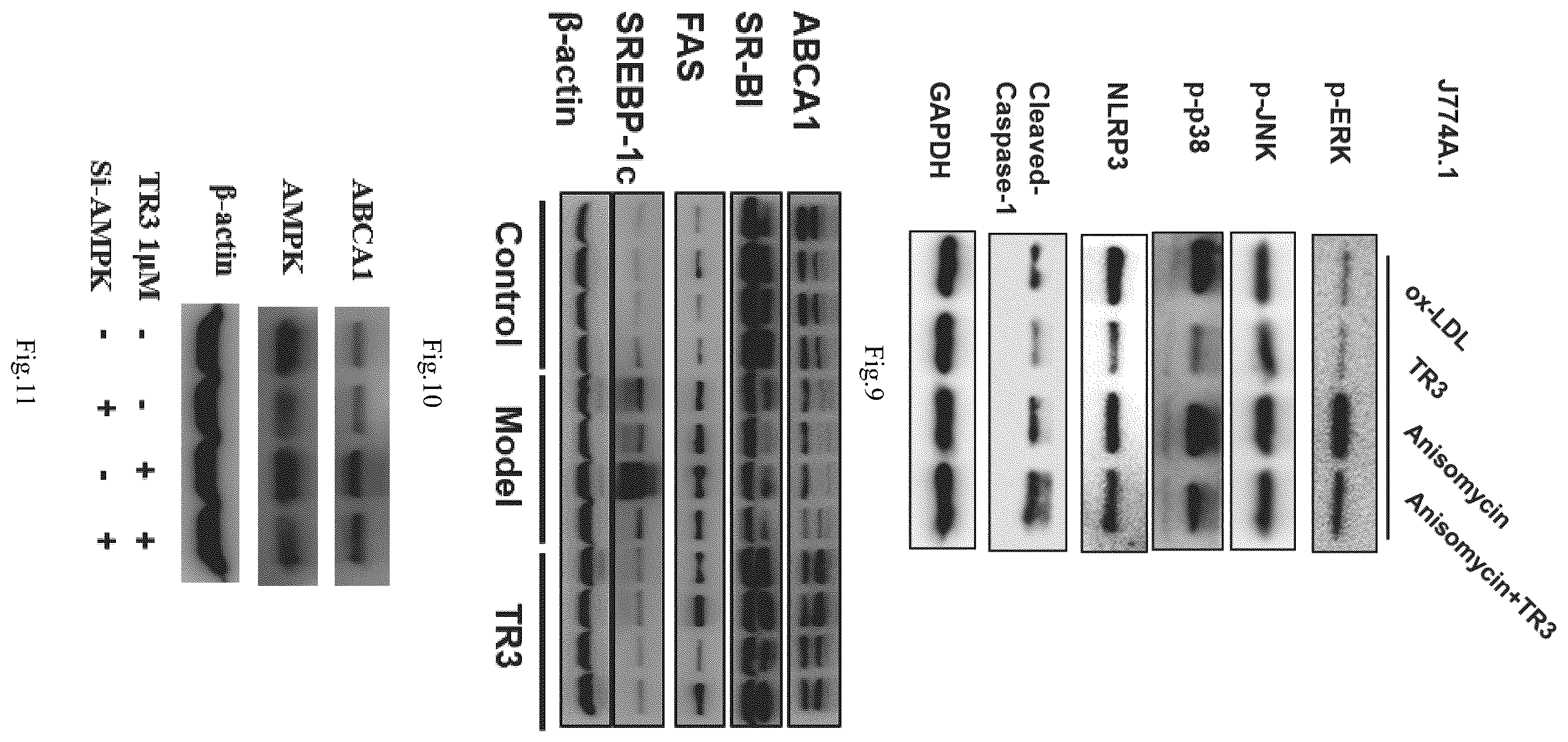Patent US12590093 Figure 6 – Indolo[2′,3′:3,4]pyrido[2,1-b]quinazoline compound and use thereof