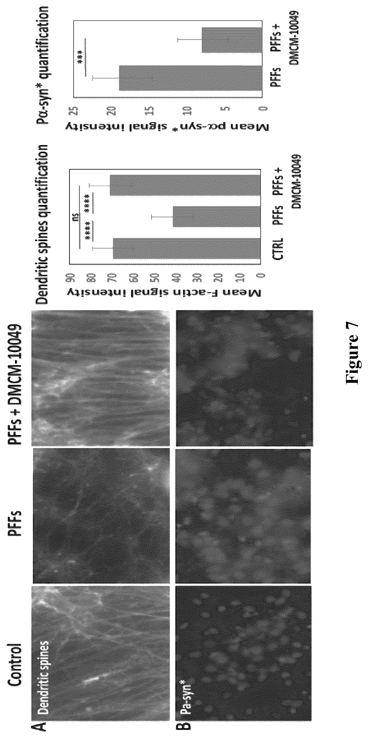 Patent US12590094 Figure 9 – Compounds for the treatment of neurodegenerative and metabolic disorders