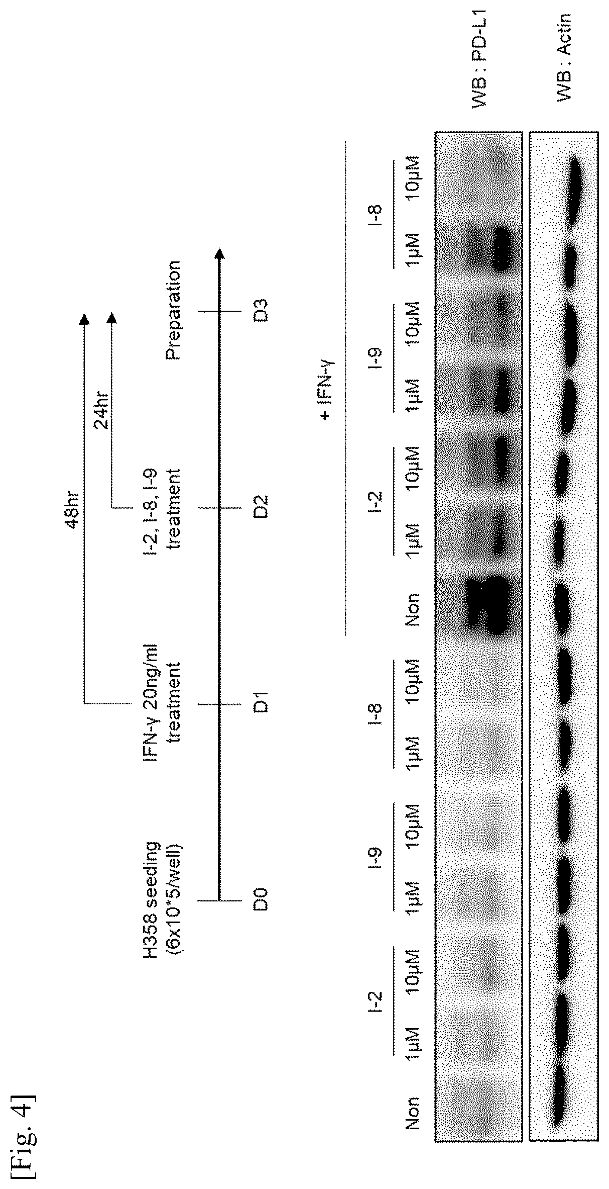 Patent US12590098 Figure 3 – Pyrimido pyrimidinone compound and pharmaceutical composition comprising the same