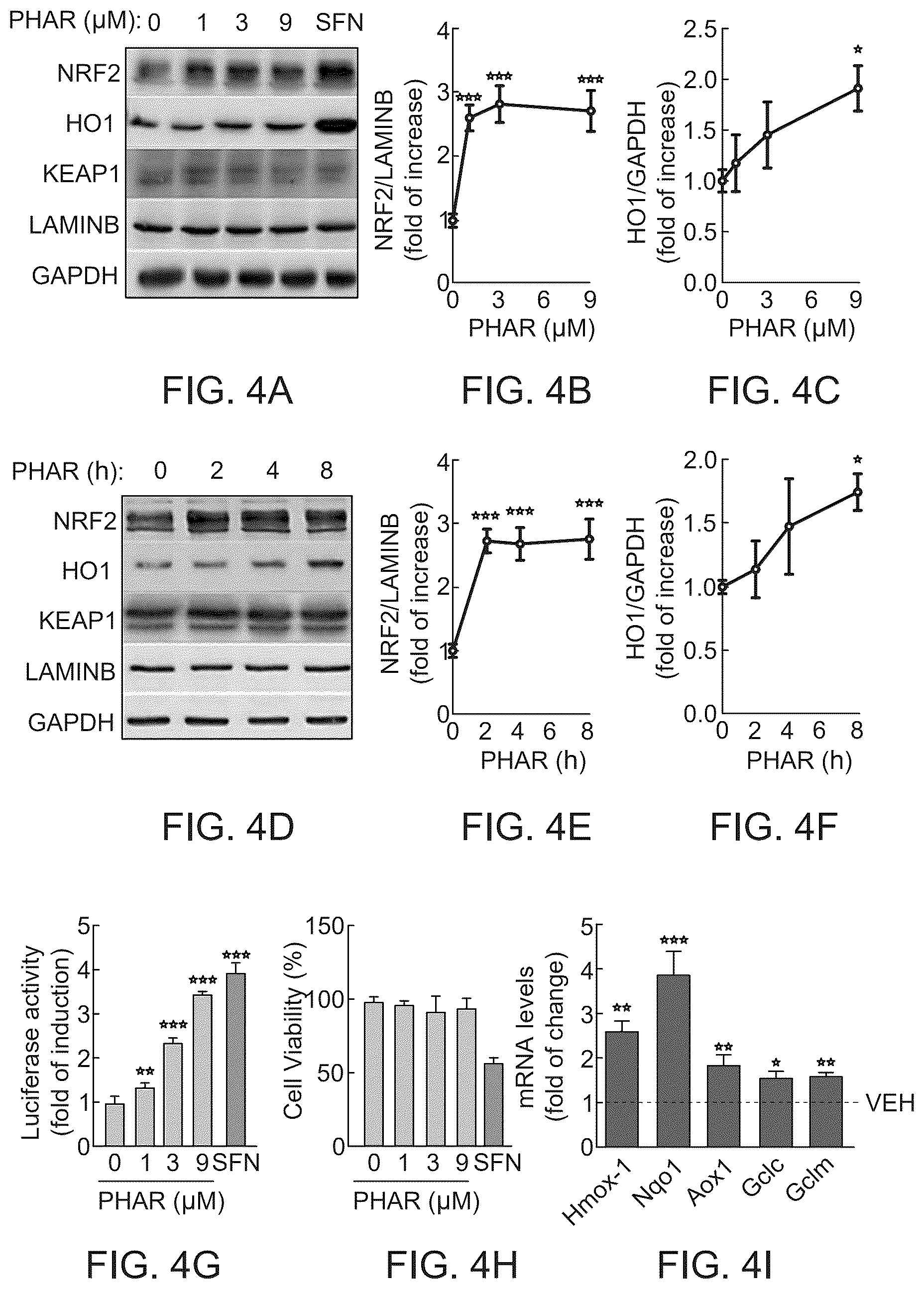 Patent US12590100 Figure 4 – Tetrahydro-spiroindoline-pyrrolopyrrole-triones inhibitors of the NRF2-β-TrCP interaction for use in the treatment of fatty liver disease