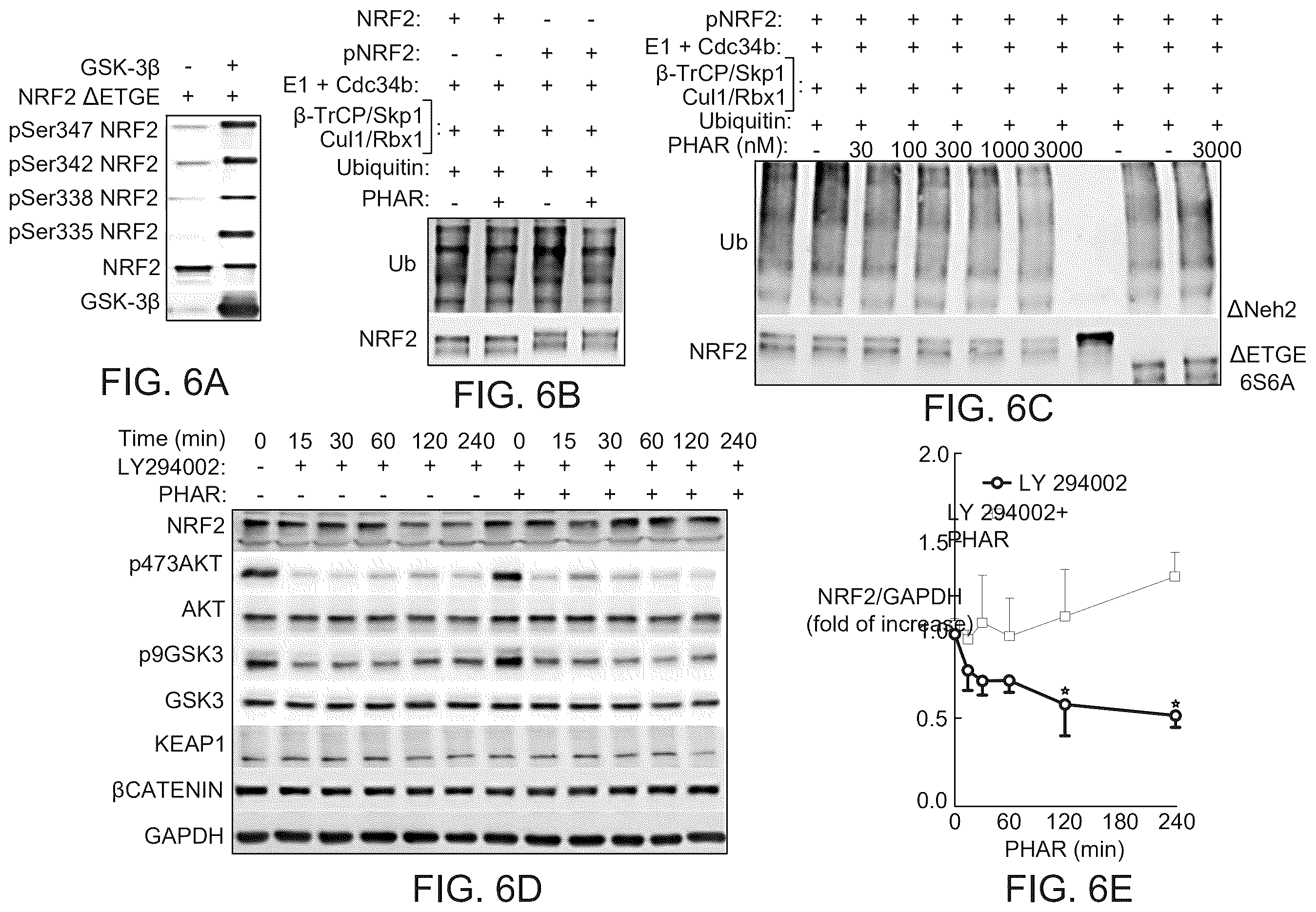 Patent US12590100 Figure 6 – Tetrahydro-spiroindoline-pyrrolopyrrole-triones inhibitors of the NRF2-β-TrCP interaction for use in the treatment of fatty liver disease