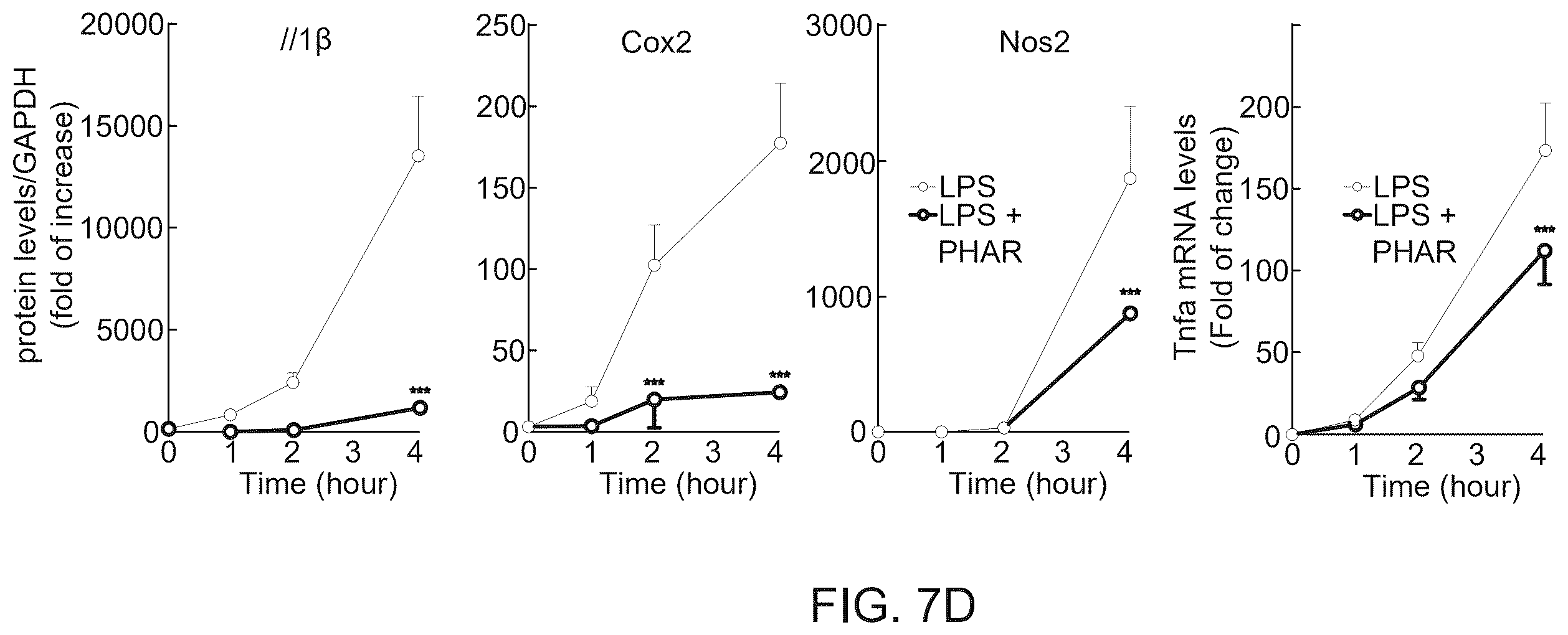 Patent US12590100 Figure 9 – Tetrahydro-spiroindoline-pyrrolopyrrole-triones inhibitors of the NRF2-β-TrCP interaction for use in the treatment of fatty liver disease
