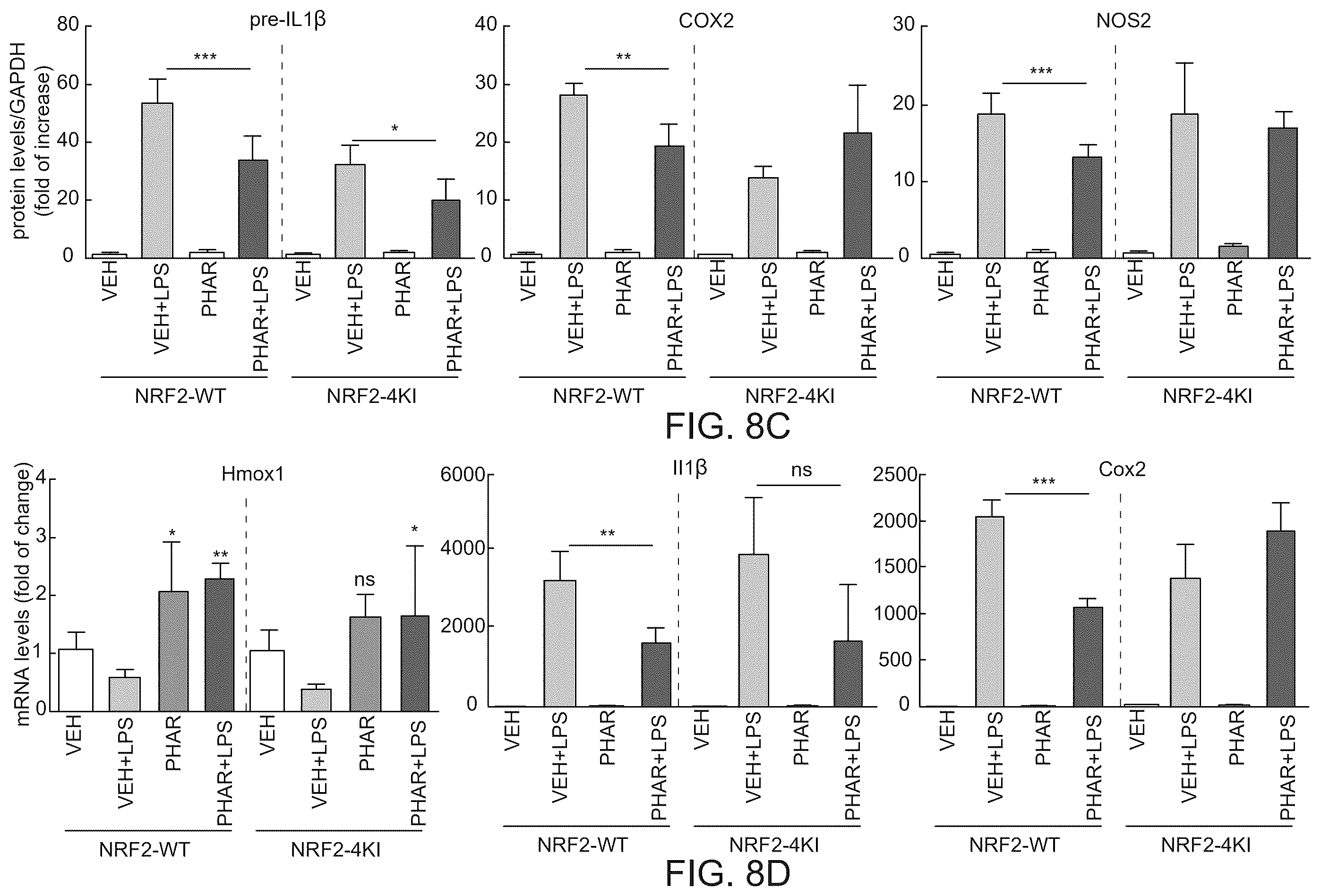 Patent US12590100 Figure 11 – Tetrahydro-spiroindoline-pyrrolopyrrole-triones inhibitors of the NRF2-β-TrCP interaction for use in the treatment of fatty liver disease