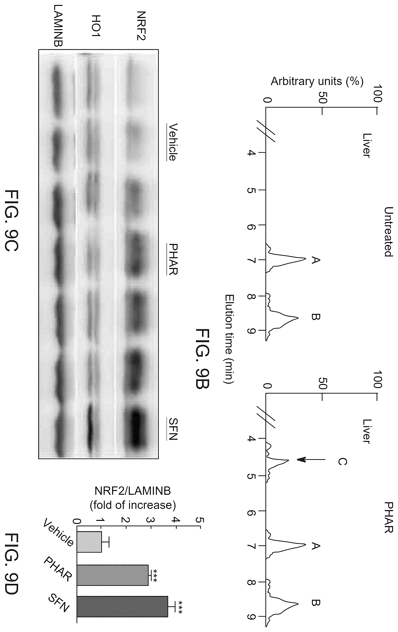 Patent US12590100 Figure 14 – Tetrahydro-spiroindoline-pyrrolopyrrole-triones inhibitors of the NRF2-β-TrCP interaction for use in the treatment of fatty liver disease