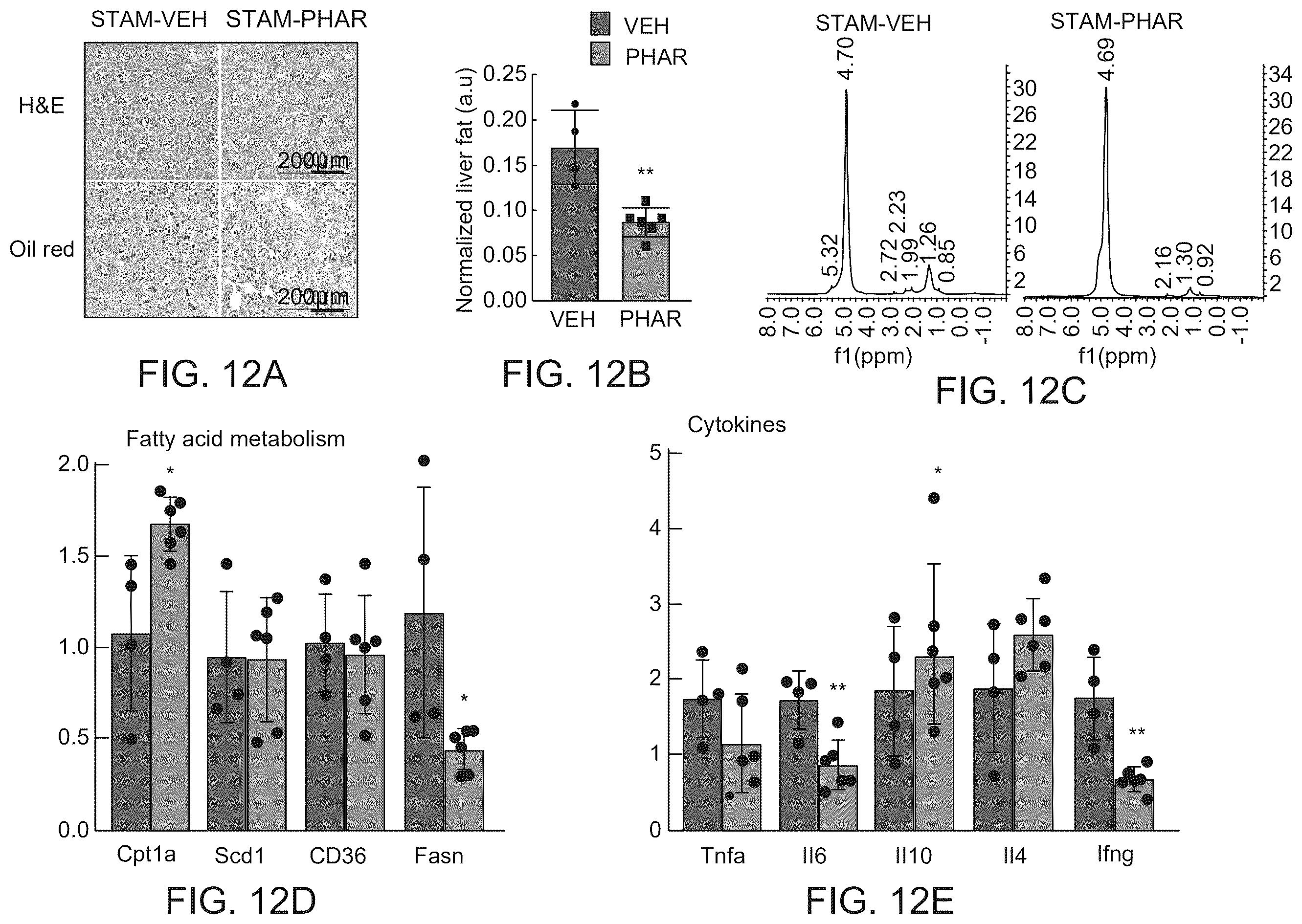 Patent US12590100 Figure 19 – Tetrahydro-spiroindoline-pyrrolopyrrole-triones inhibitors of the NRF2-β-TrCP interaction for use in the treatment of fatty liver disease