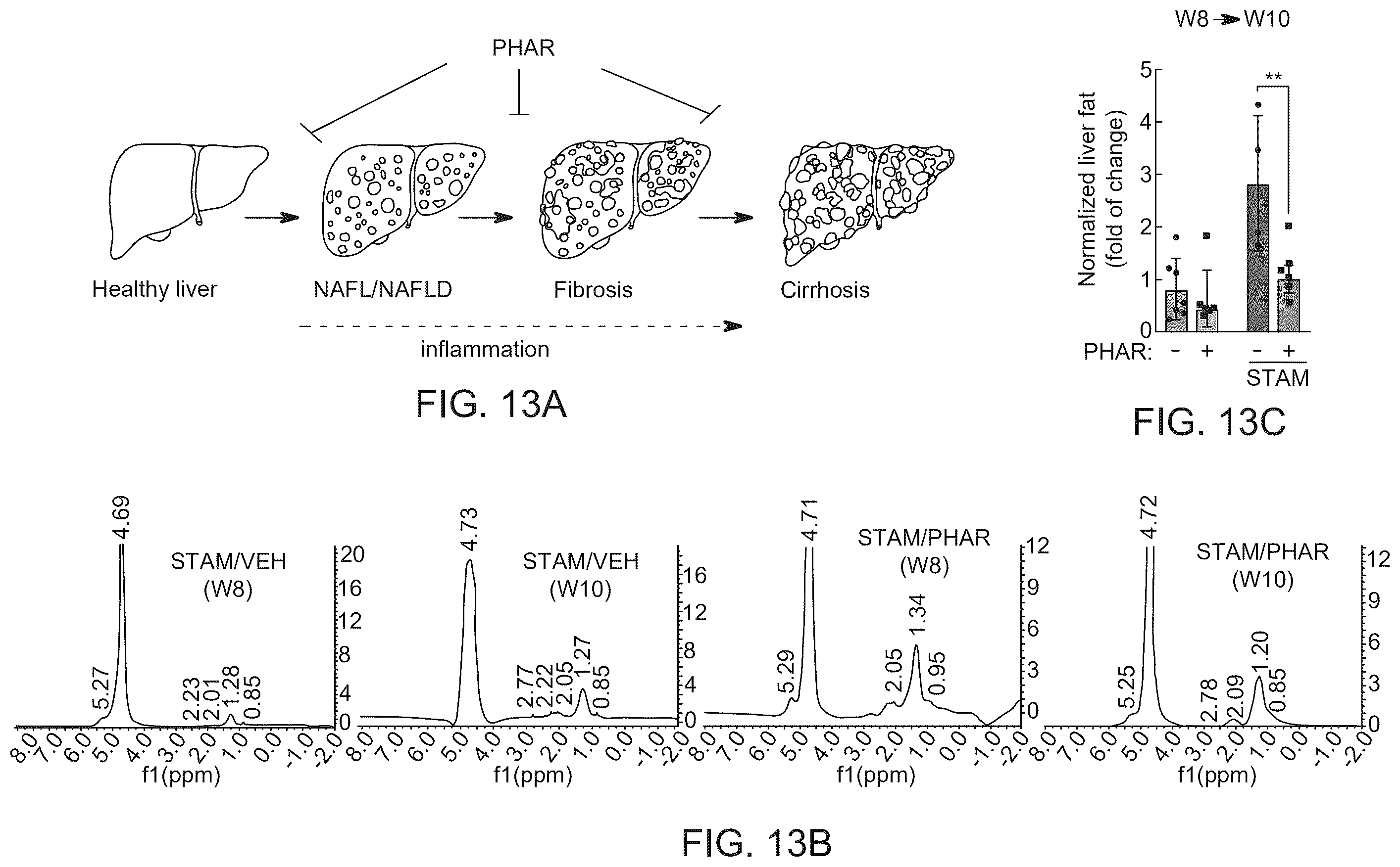 Patent US12590100 Figure 20 – Tetrahydro-spiroindoline-pyrrolopyrrole-triones inhibitors of the NRF2-β-TrCP interaction for use in the treatment of fatty liver disease