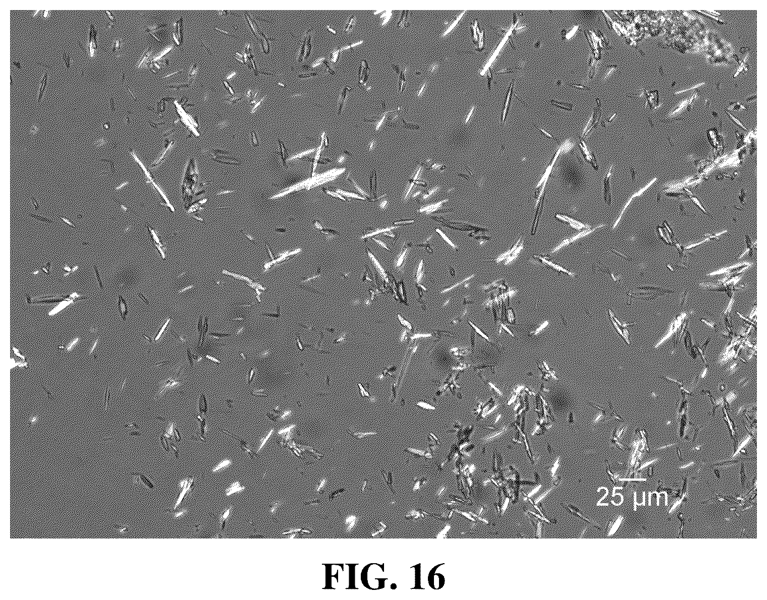 Patent US12590103 Figure 11 – Polymorph of EP4 receptor antagonist, preparation method therefor and use thereof