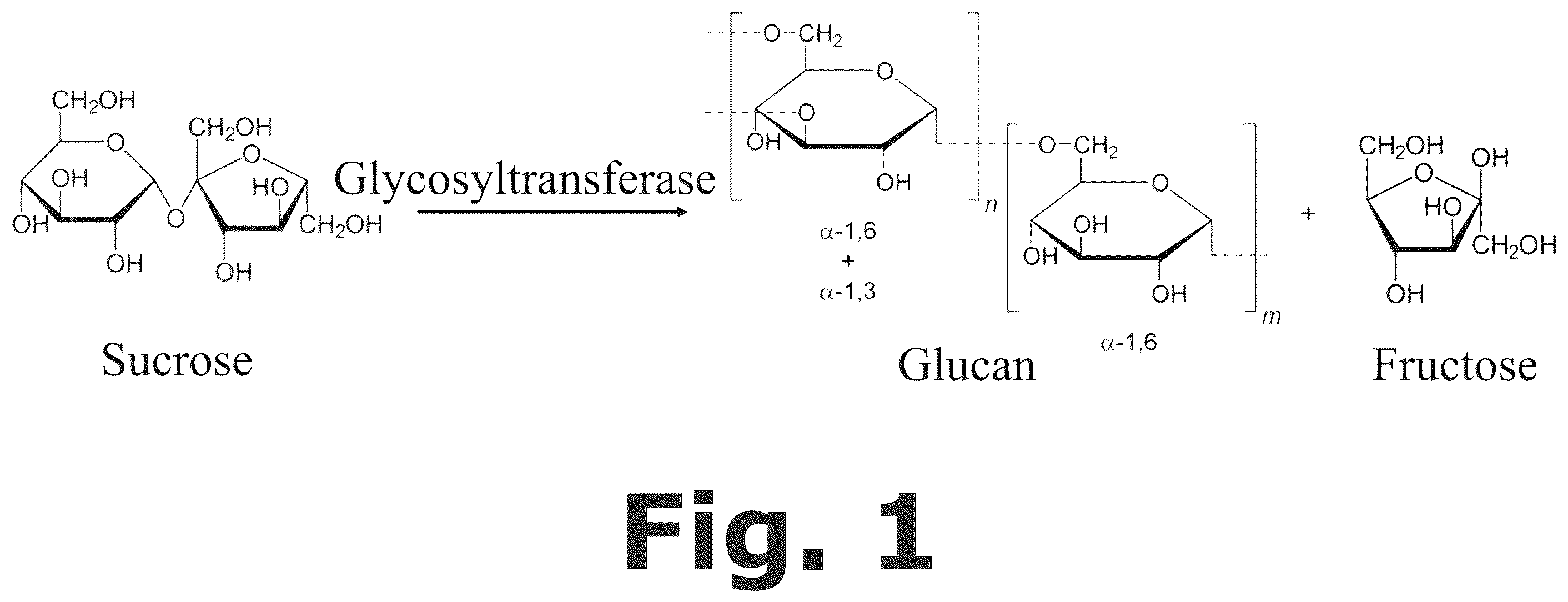 Patent US12590111 Figure 1 – Flavonoid derivative for treating dental caries