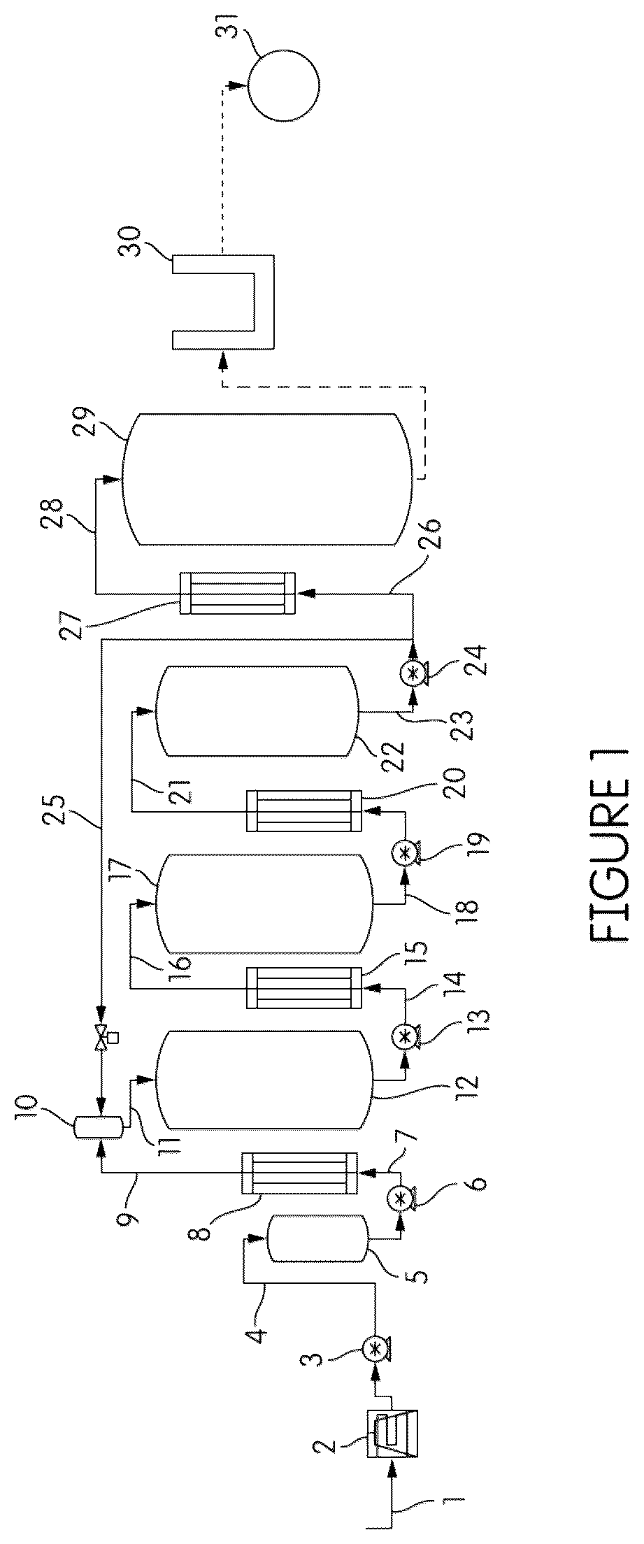 Patent US12590116 Figure 1 – Method for producing allulose crystals
