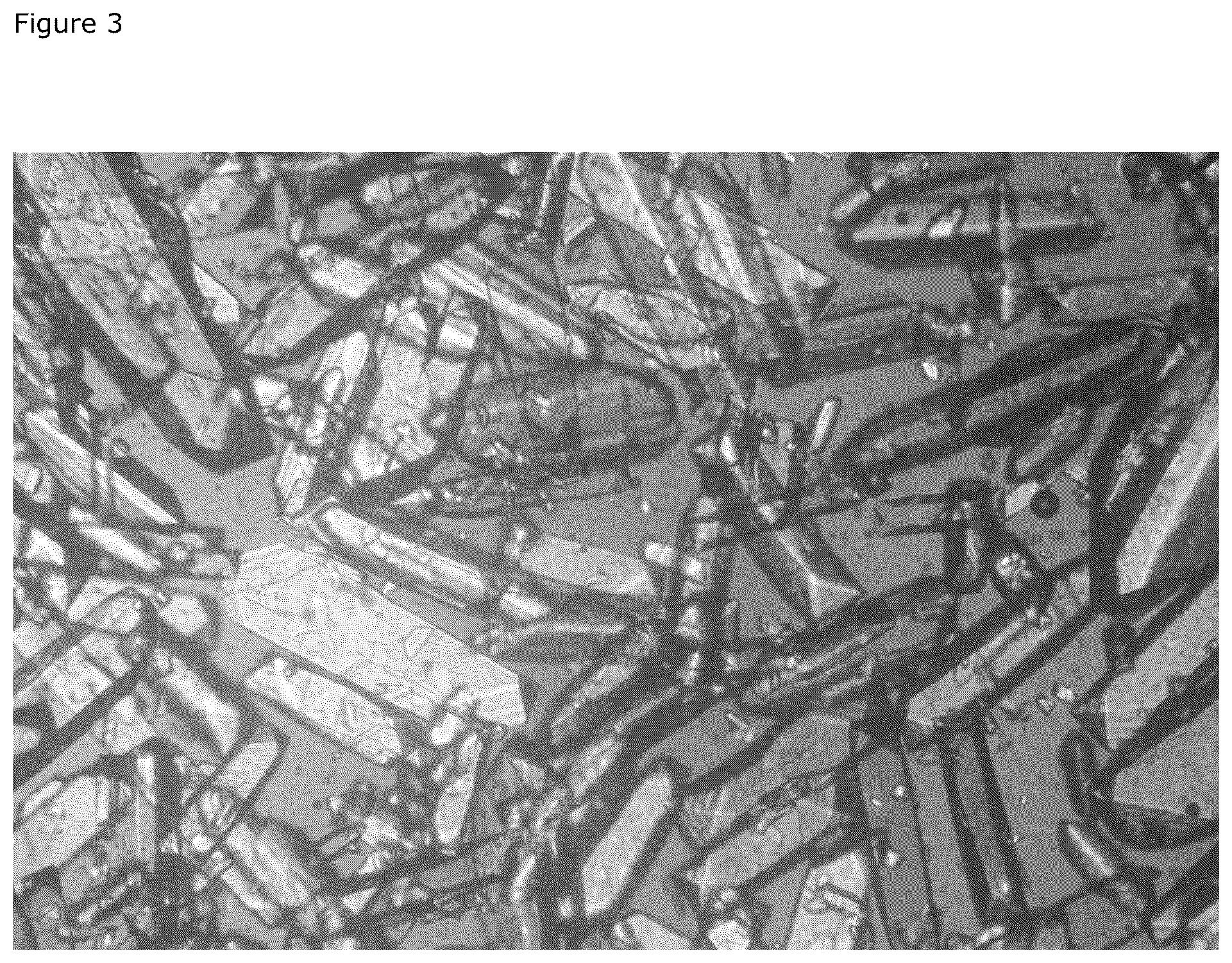 Patent US12590116 Figure 3 – Method for producing allulose crystals