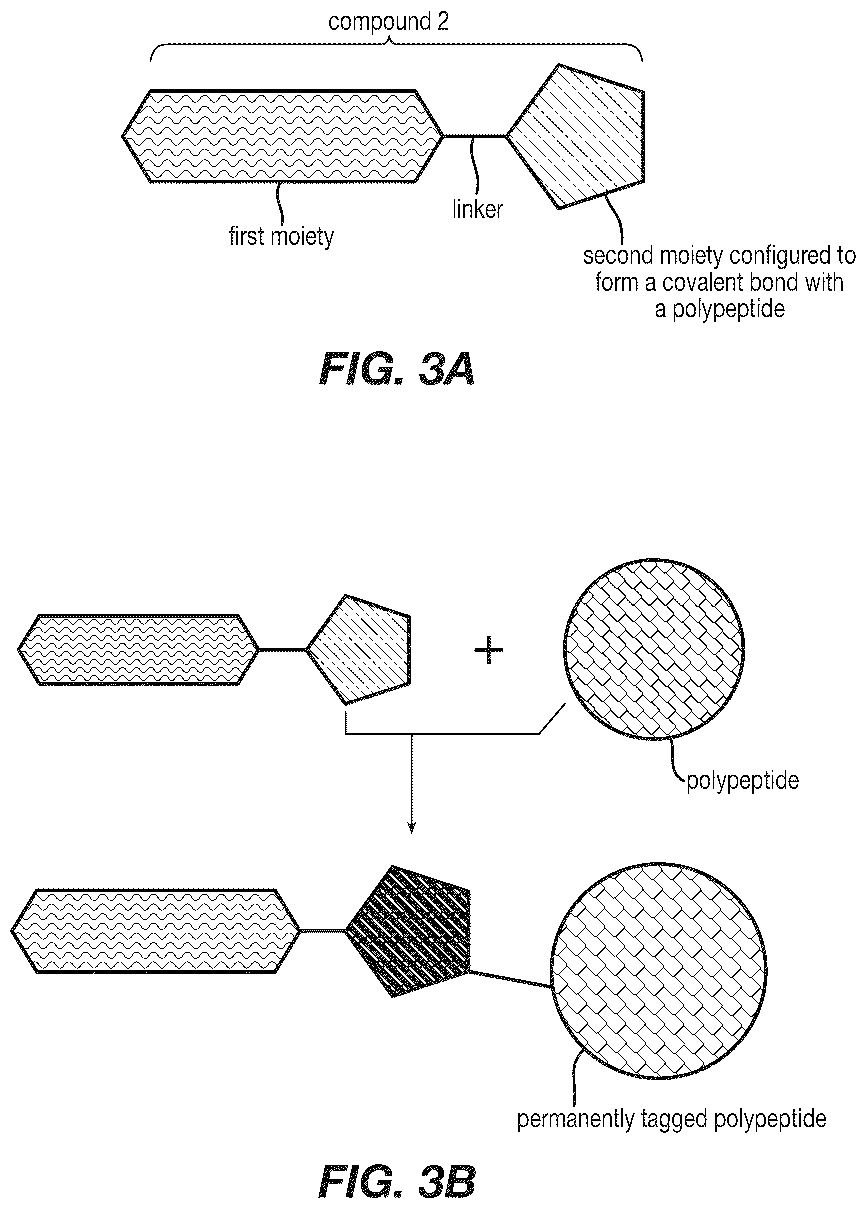 Patent US12590120 Figure 3 – Materials and methods for isolating self-antigen polypeptides