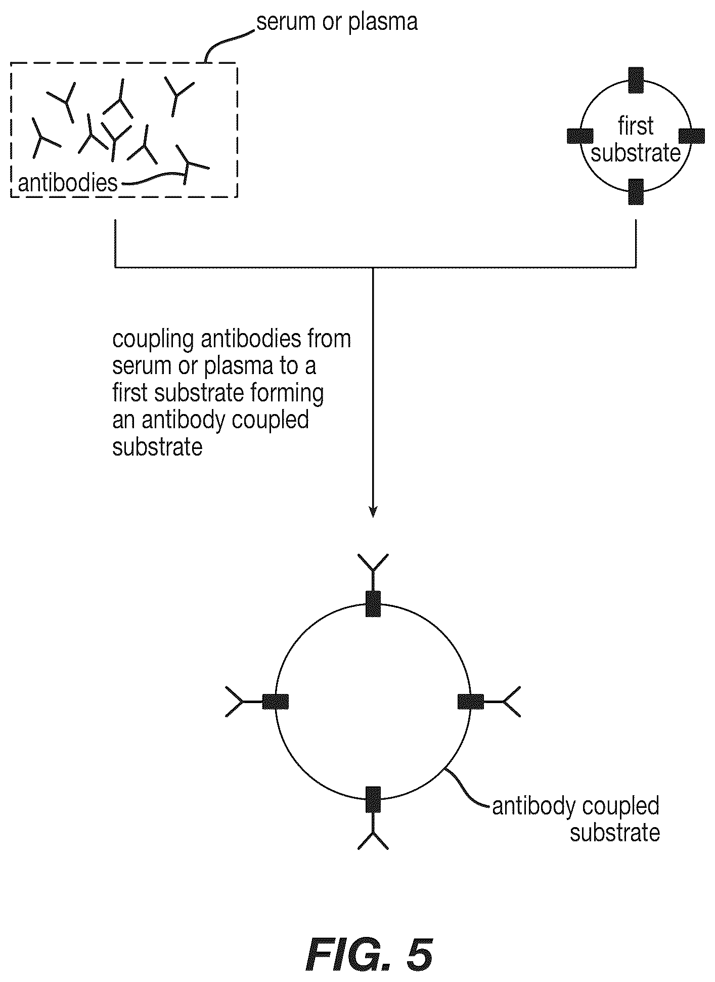 Patent US12590120 Figure 5 – Materials and methods for isolating self-antigen polypeptides