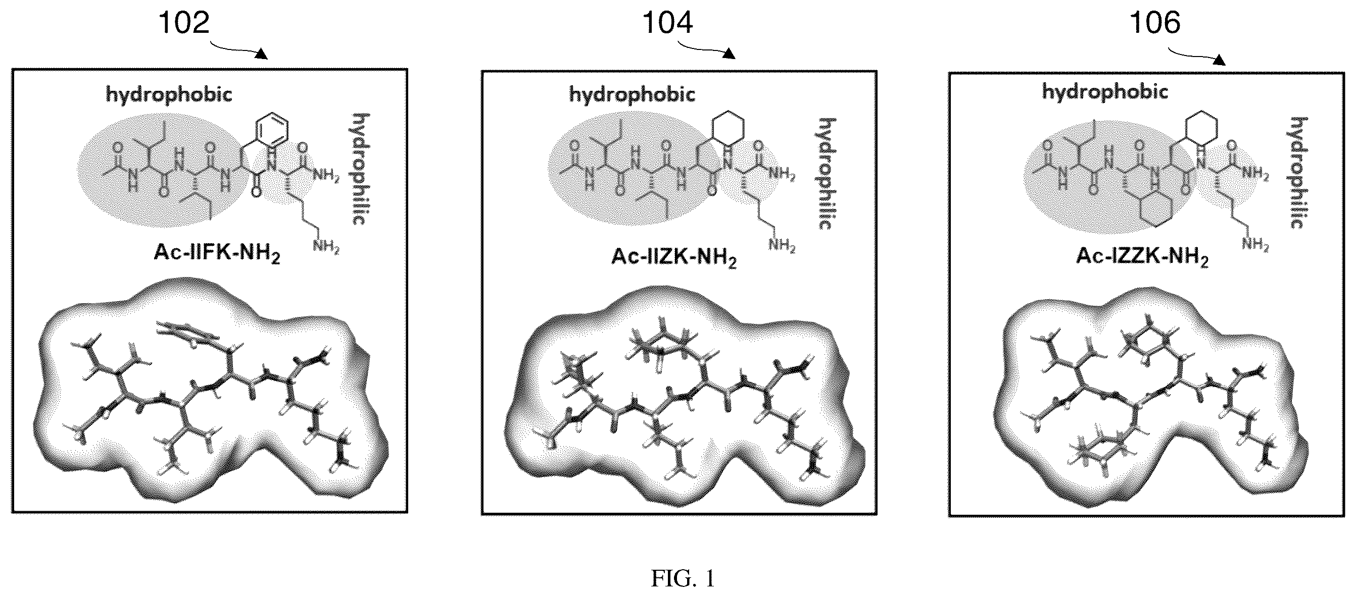 Patent US12590121 Figure 1 – Peptide compound with repetitive sequences