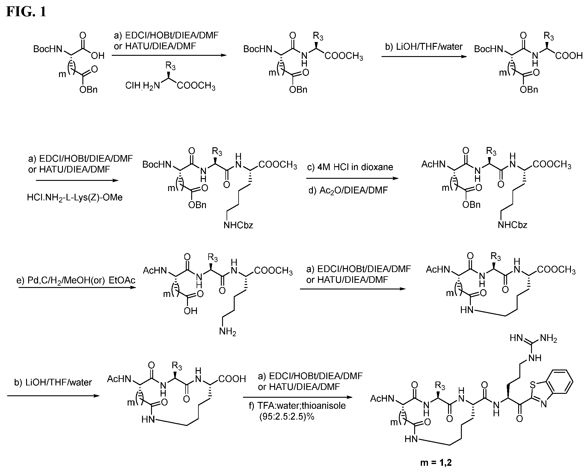 Patent US12590123 Figure 1 – Compounds and methods for treating cancer, viral infections, and allergic conditions