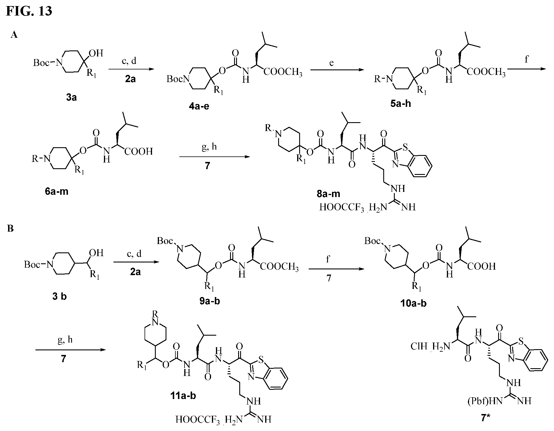 Patent US12590123 Figure 13 – Compounds and methods for treating cancer, viral infections, and allergic conditions