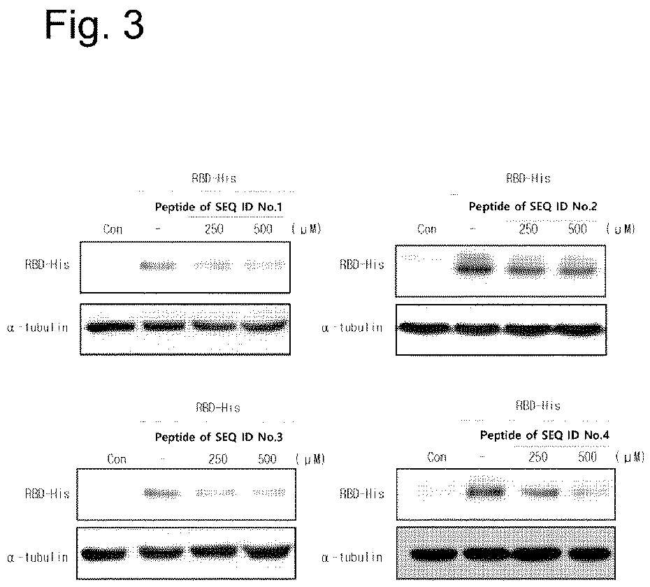 Patent US12590124 Figure 3 – Peptide with neutralizing activity against severe acute respiratory syndrome coronavirus 2