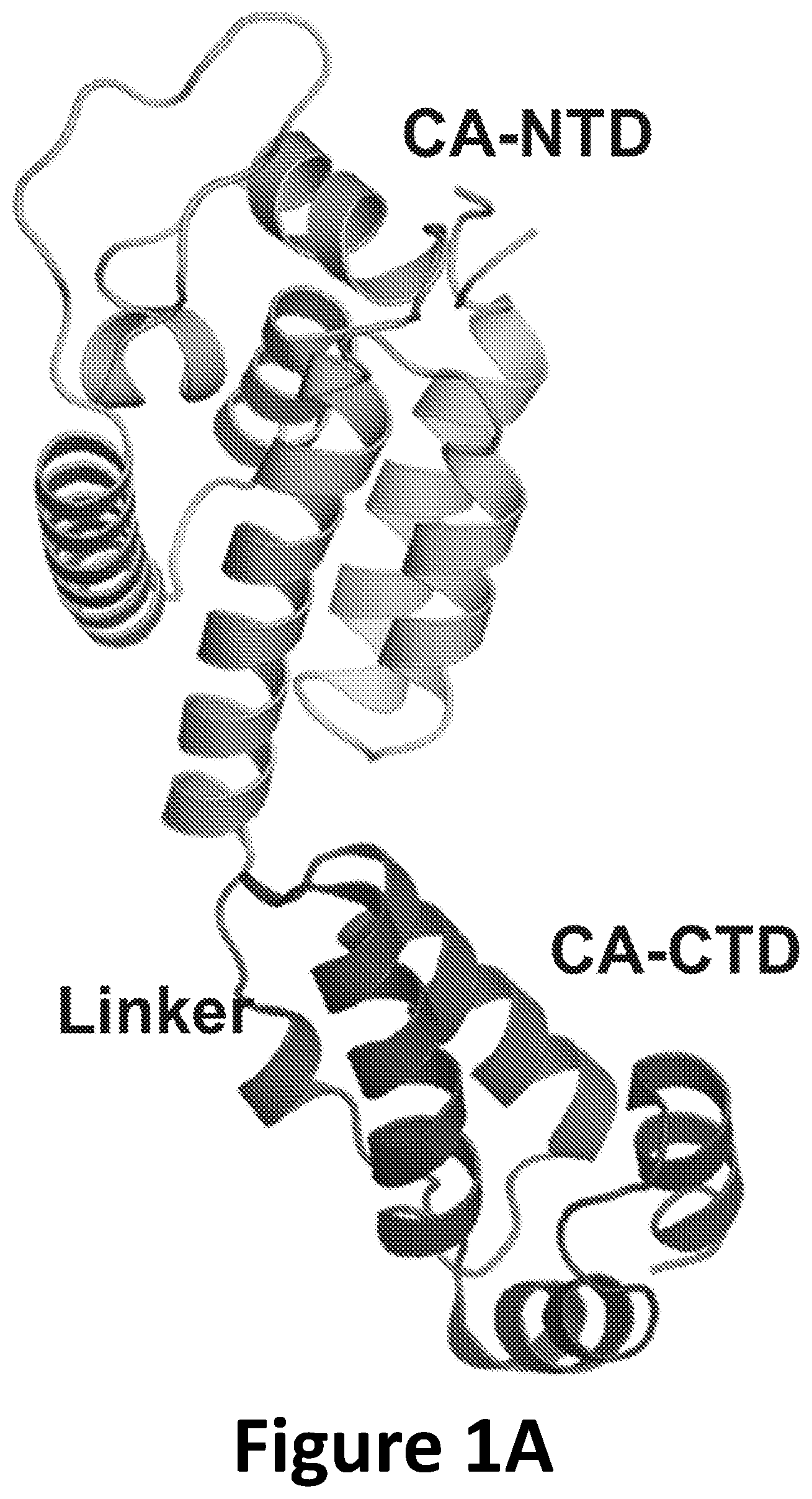 Patent US12590125 — Peptide inhibitors for the inhibition of HIV capsid — Figure 1
