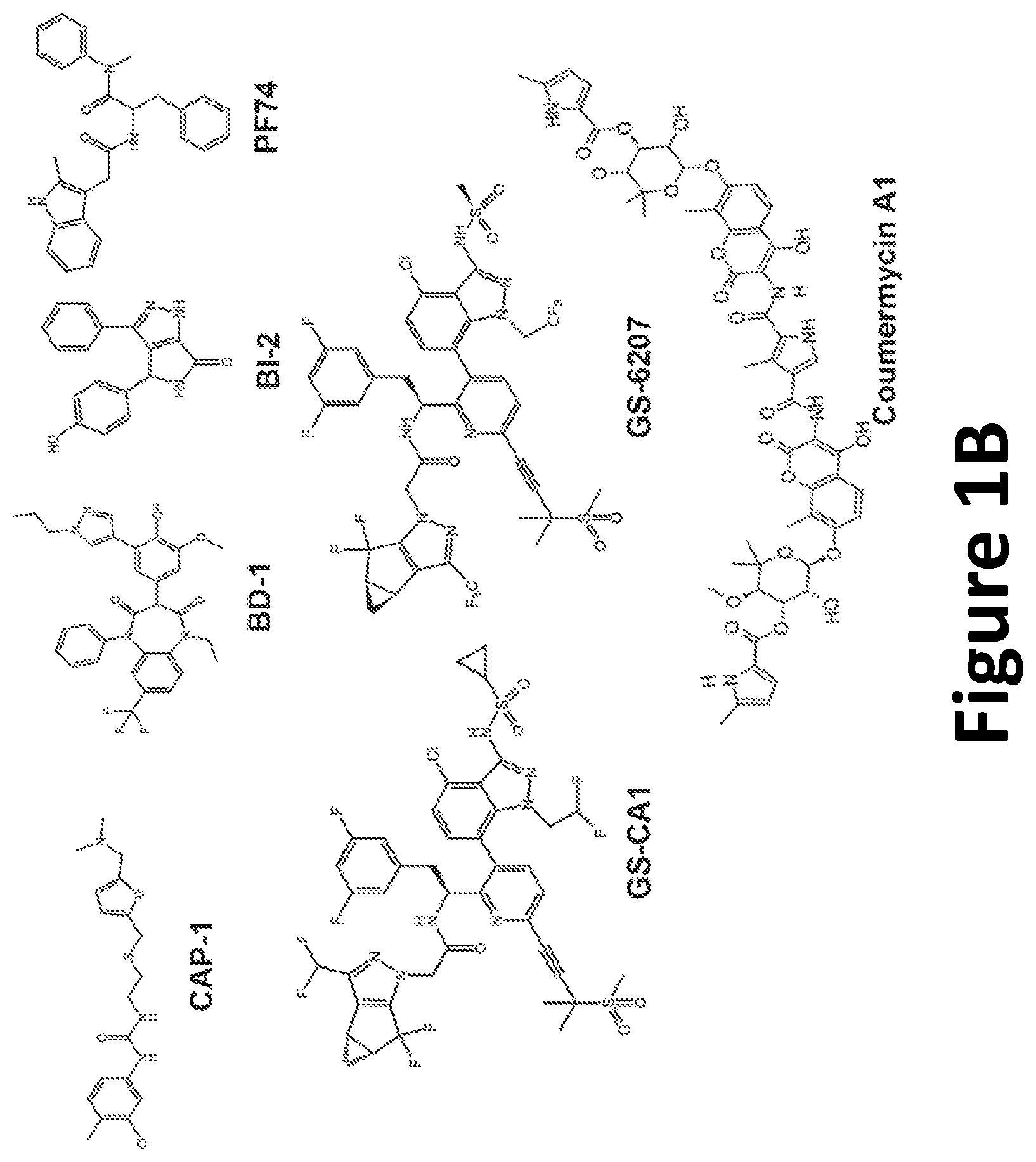 Patent US12590125 Figure 2 – Peptide inhibitors for the inhibition of HIV capsid