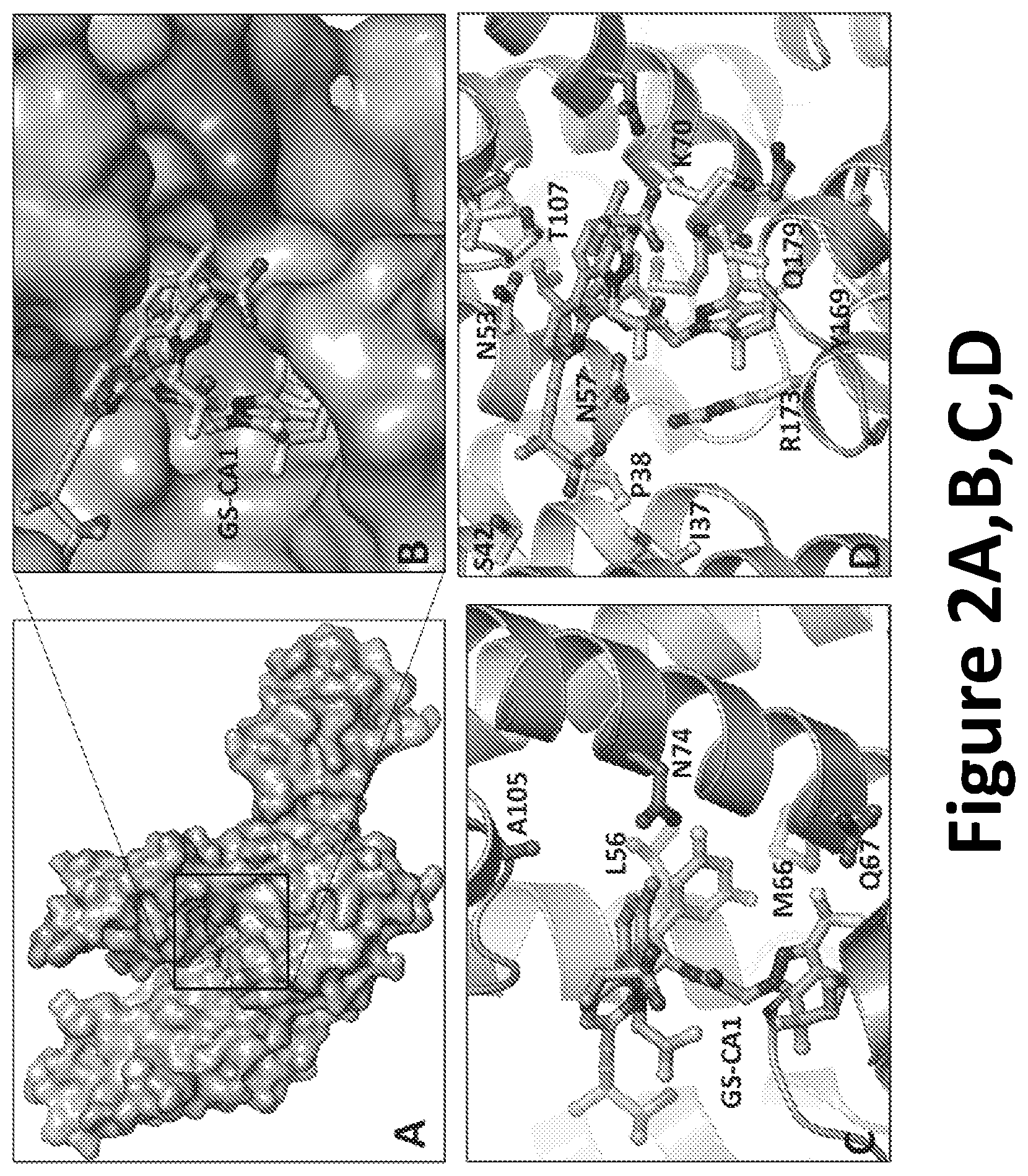 Patent US12590125 Figure 3 – Peptide inhibitors for the inhibition of HIV capsid