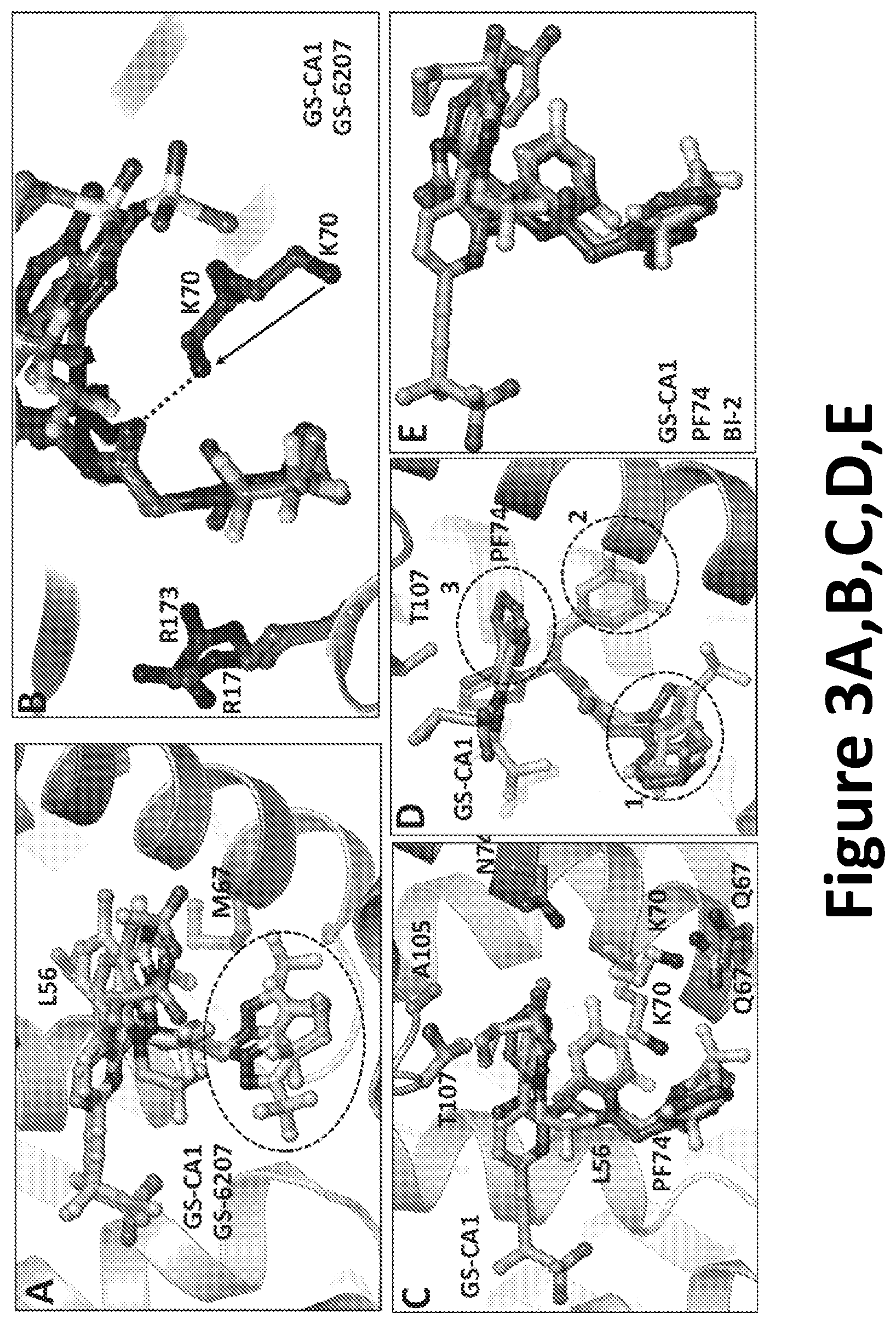 Patent US12590125 Figure 4 – Peptide inhibitors for the inhibition of HIV capsid