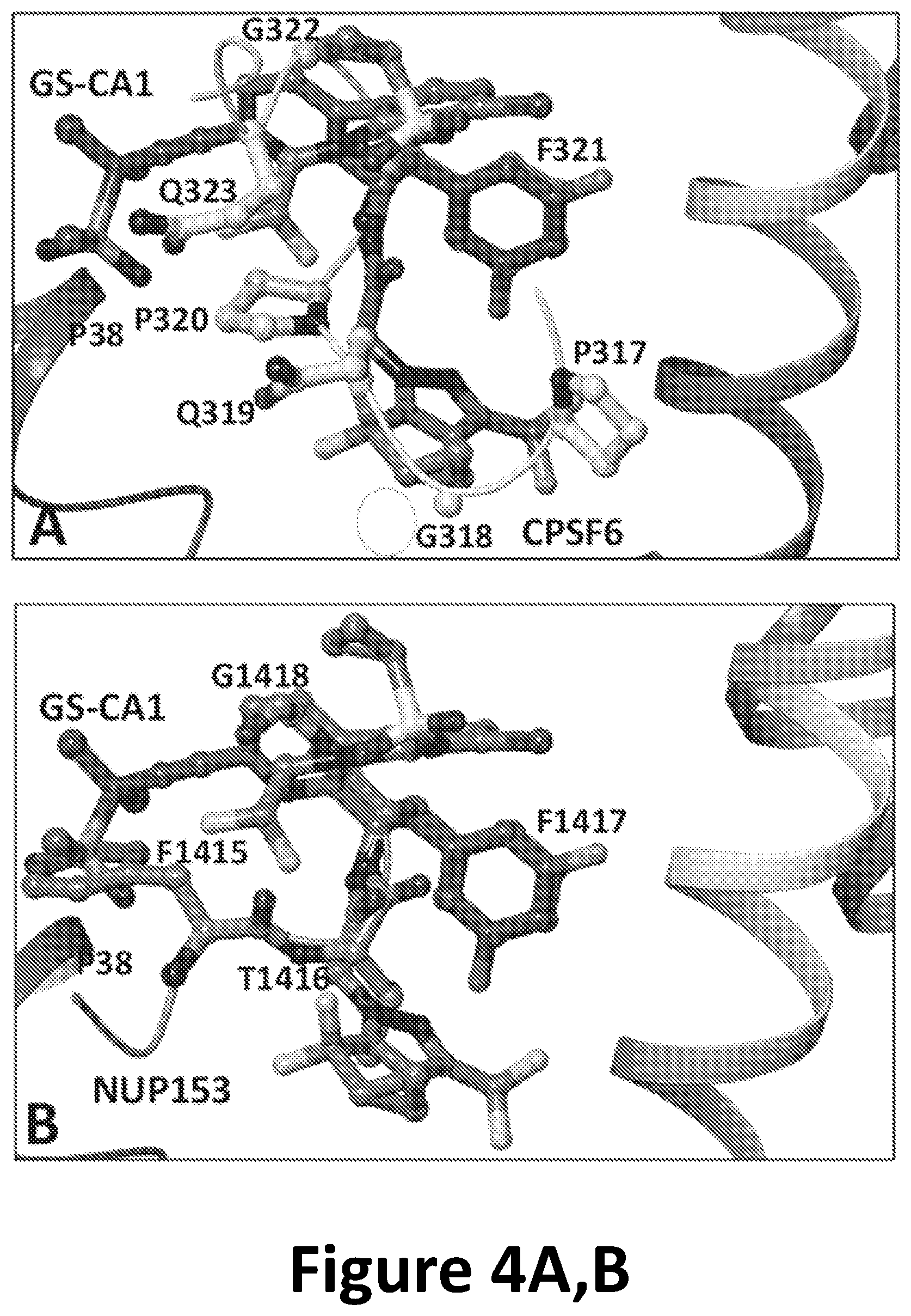 Patent US12590125 Figure 5 – Peptide inhibitors for the inhibition of HIV capsid