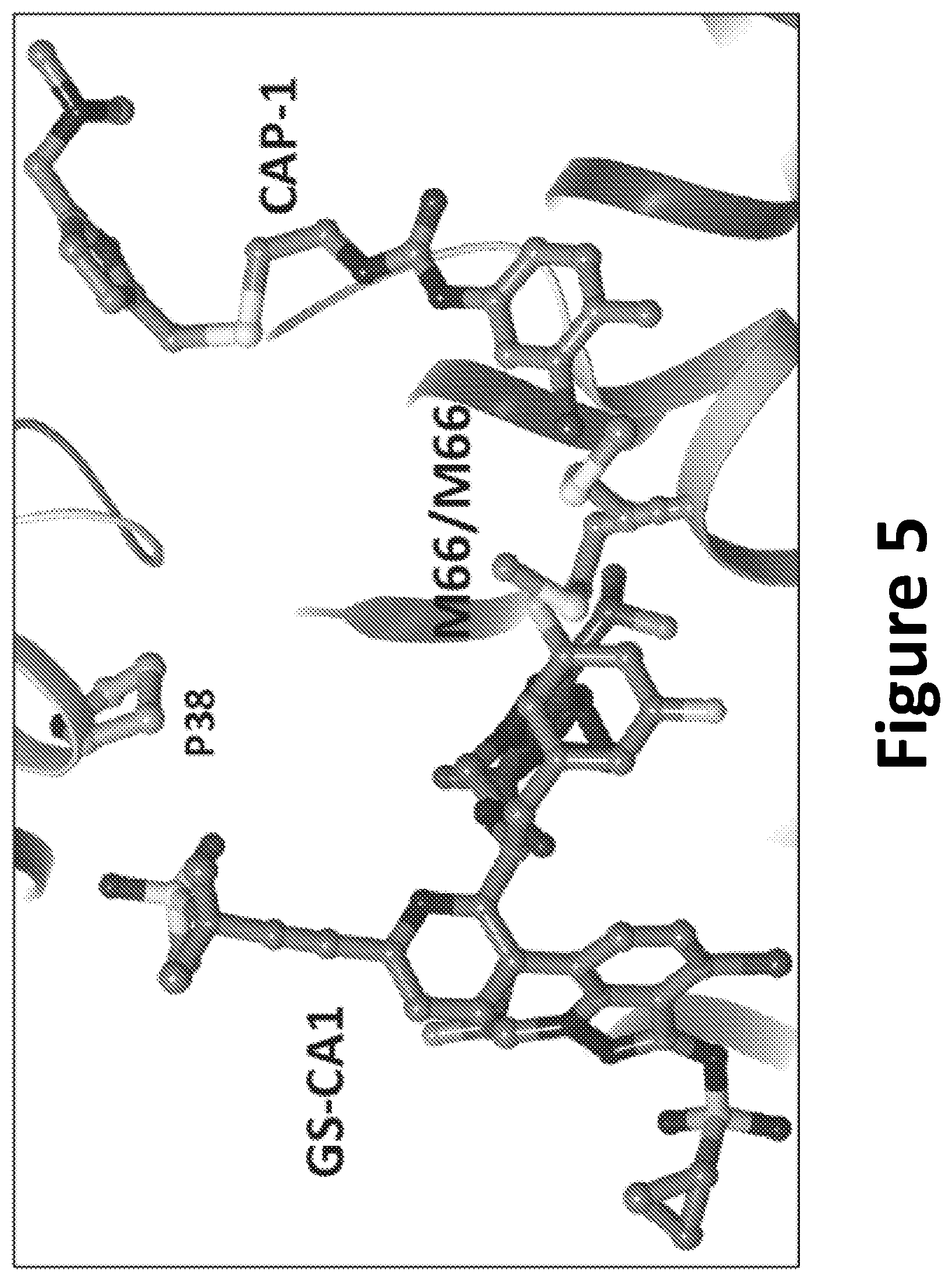 Patent US12590125 Figure 6 – Peptide inhibitors for the inhibition of HIV capsid