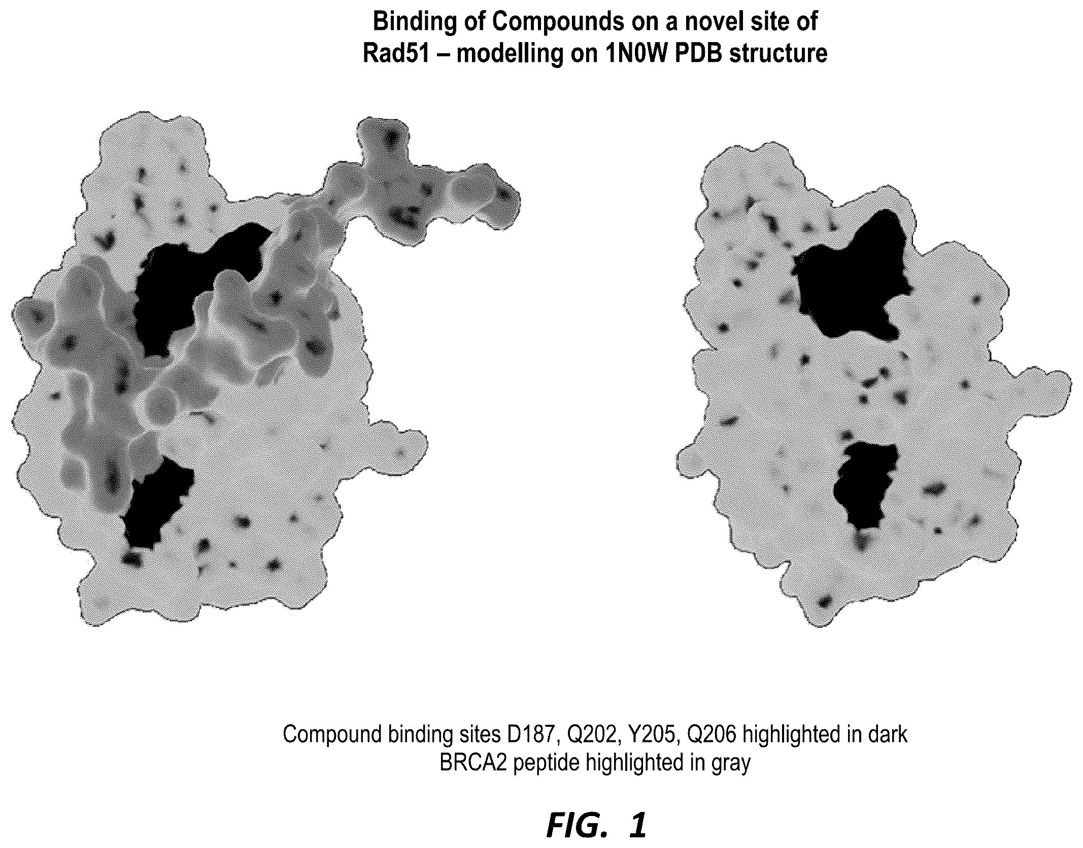 Patent US12590126 Figure 1 – Compounds for selective disruption of protein-protein interactions