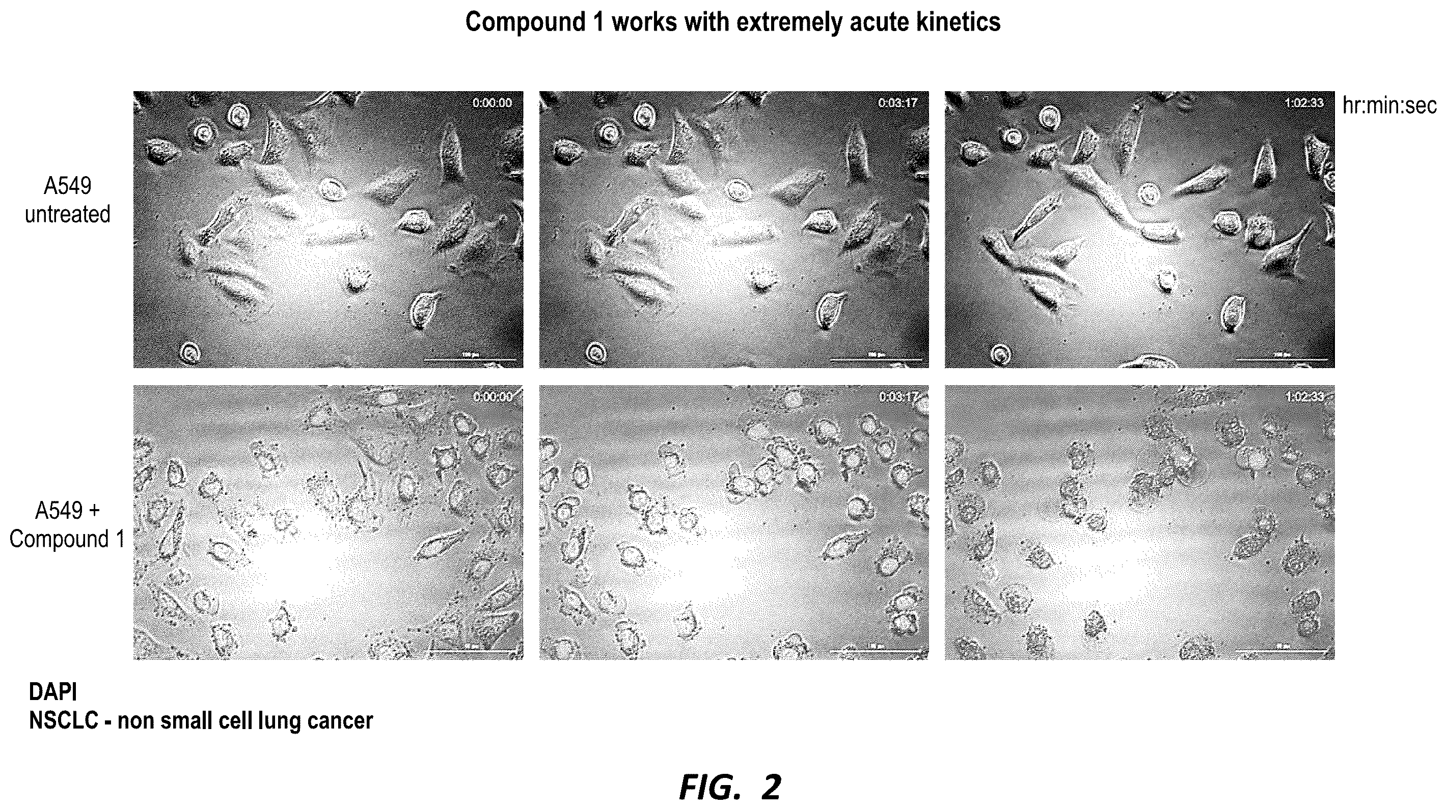 Patent US12590126 Figure 2 – Compounds for selective disruption of protein-protein interactions