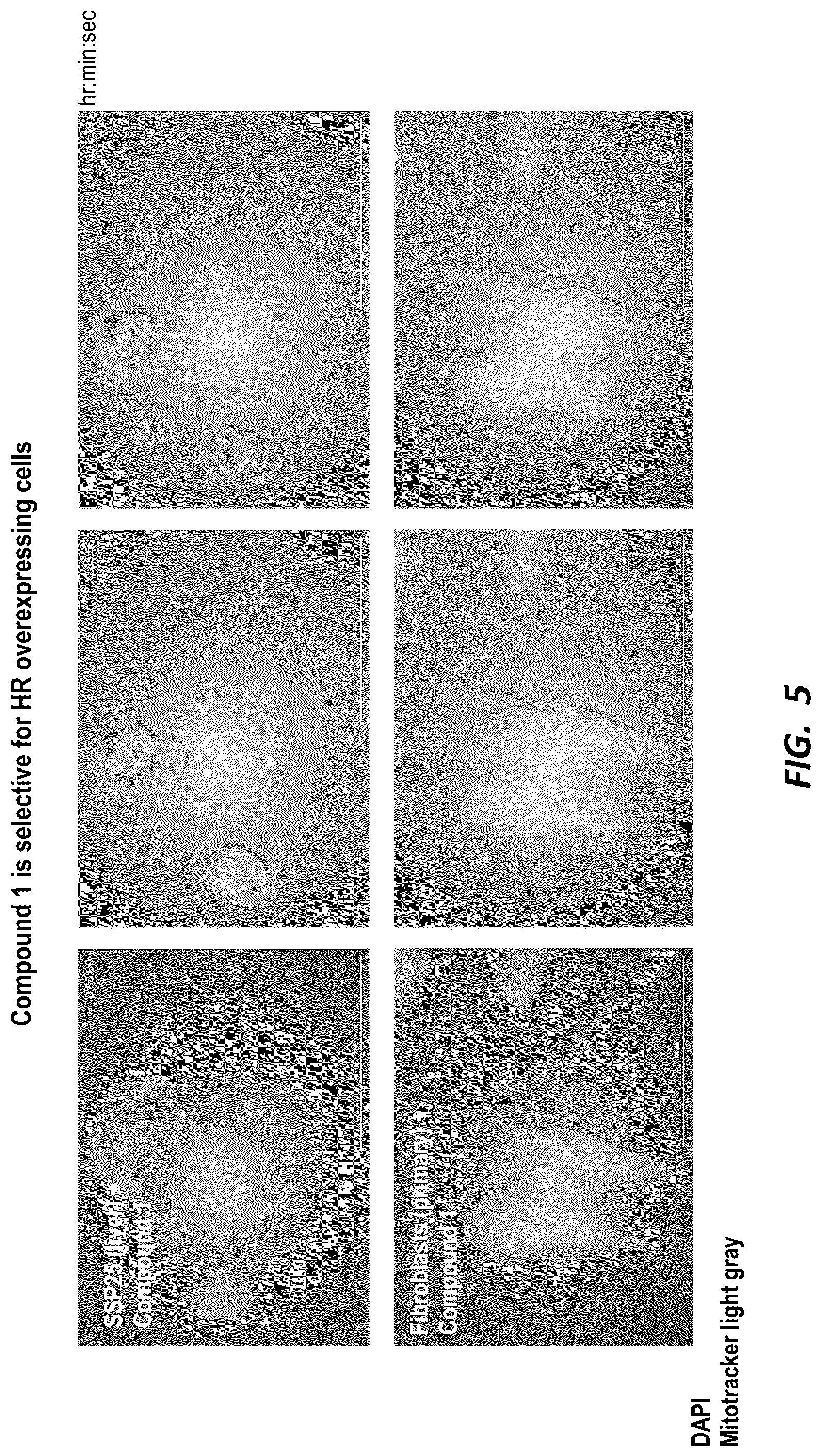 Patent US12590126 Figure 5 – Compounds for selective disruption of protein-protein interactions