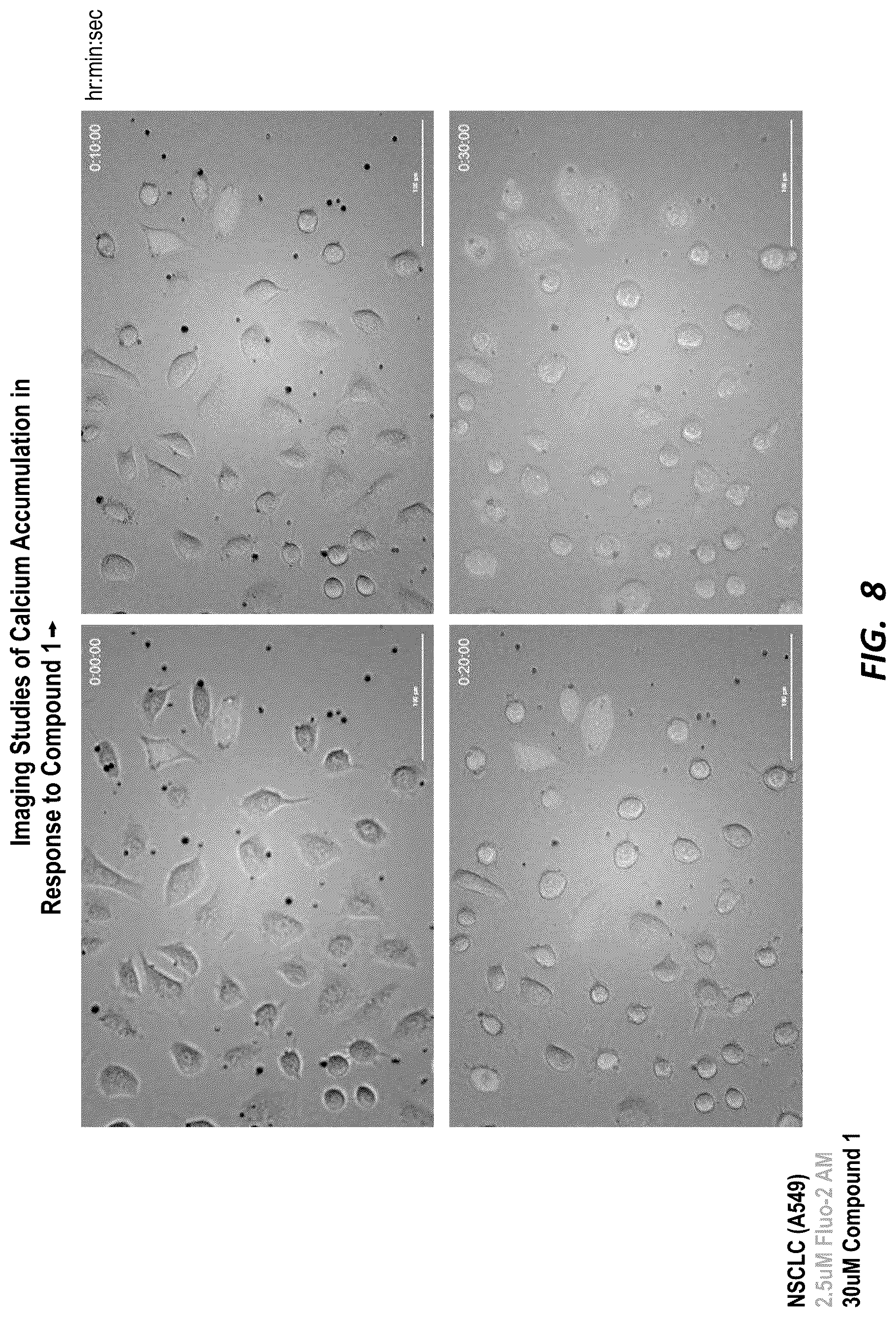 Patent US12590126 Figure 8 – Compounds for selective disruption of protein-protein interactions