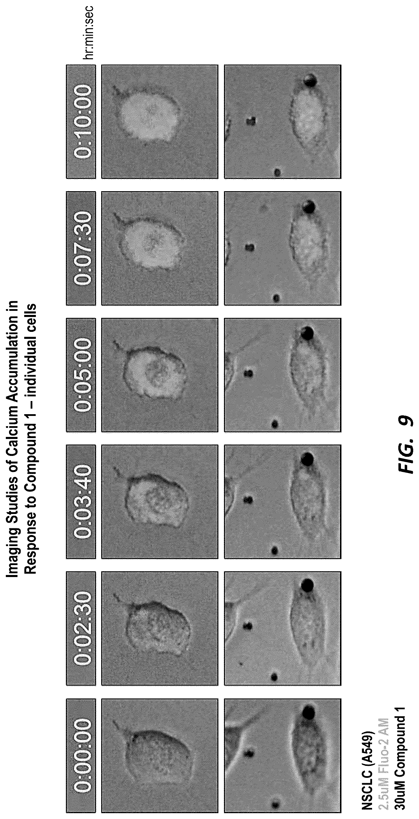 Patent US12590126 Figure 9 – Compounds for selective disruption of protein-protein interactions