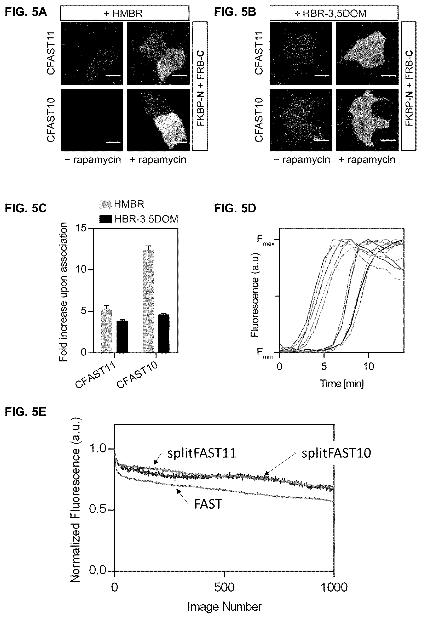Patent US12590127 Figure 5 – Split photoactive yellow protein complementation system and uses thereof