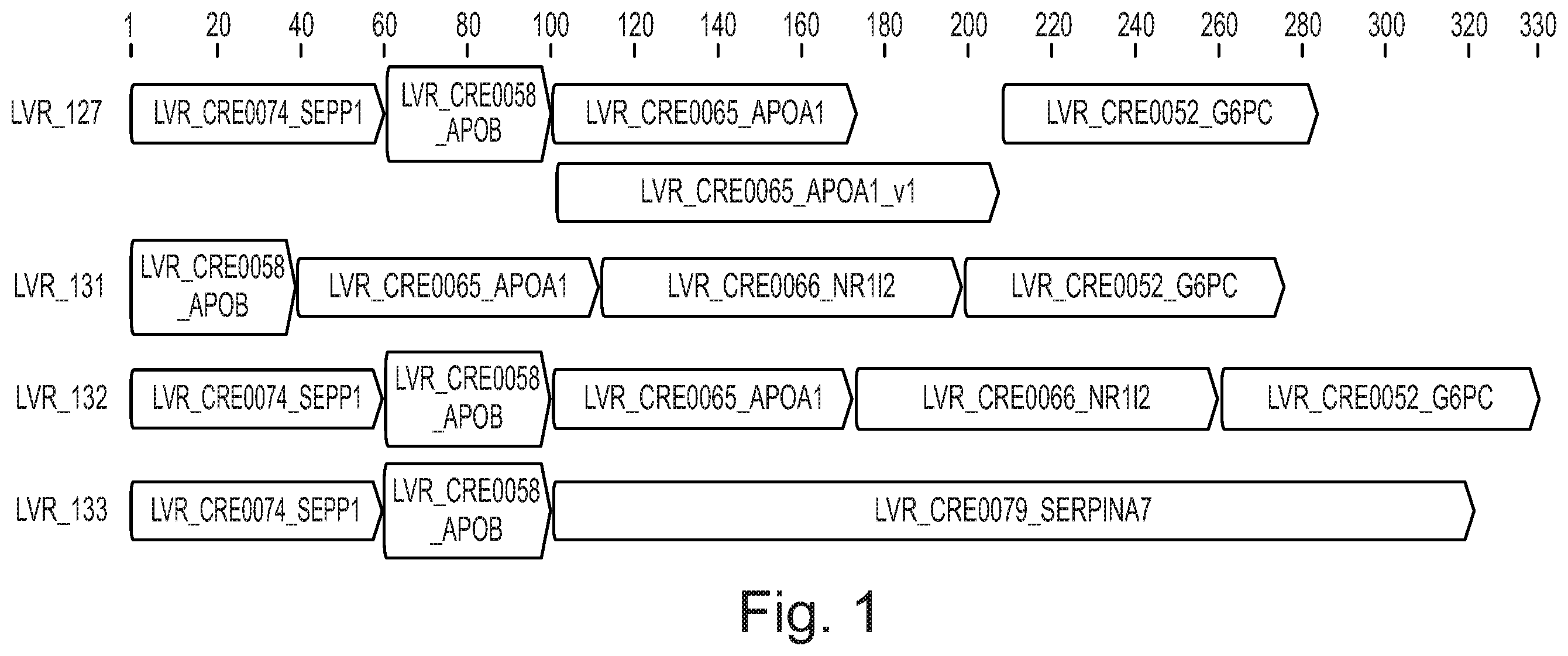 Patent US12590129 Figure 1 – Liver-specific regulatory nucleic acid sequences