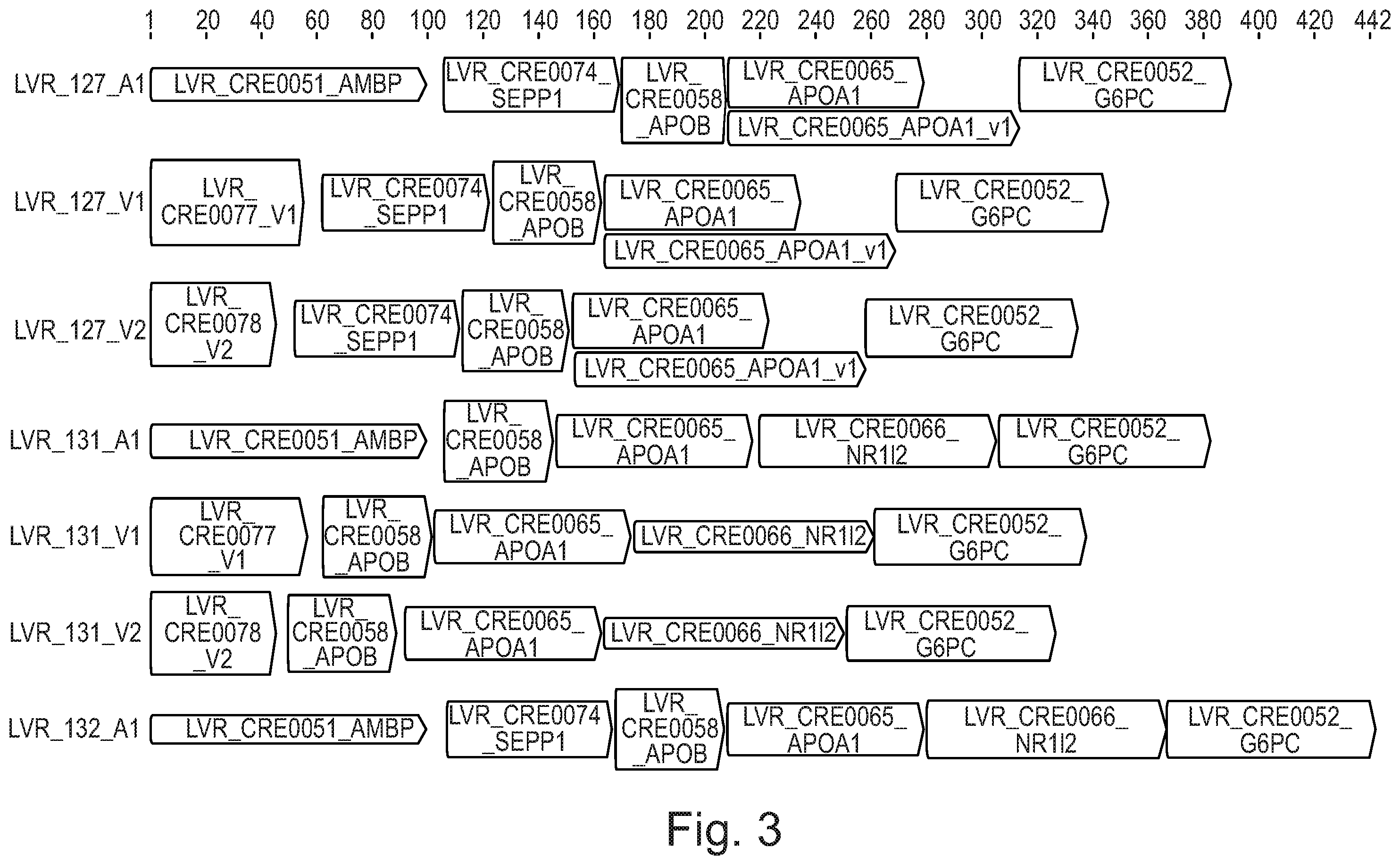 Patent US12590129 Figure 3 – Liver-specific regulatory nucleic acid sequences