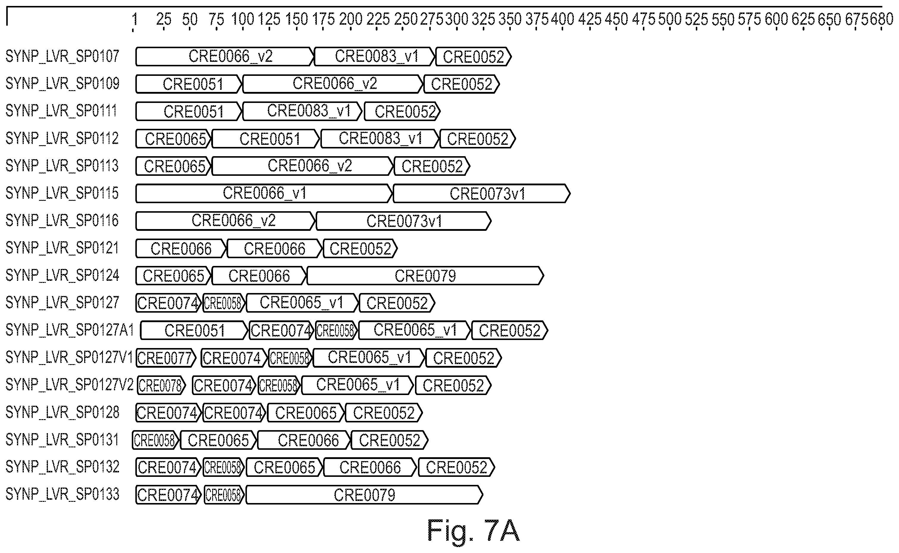 Patent US12590129 Figure 8 – Liver-specific regulatory nucleic acid sequences