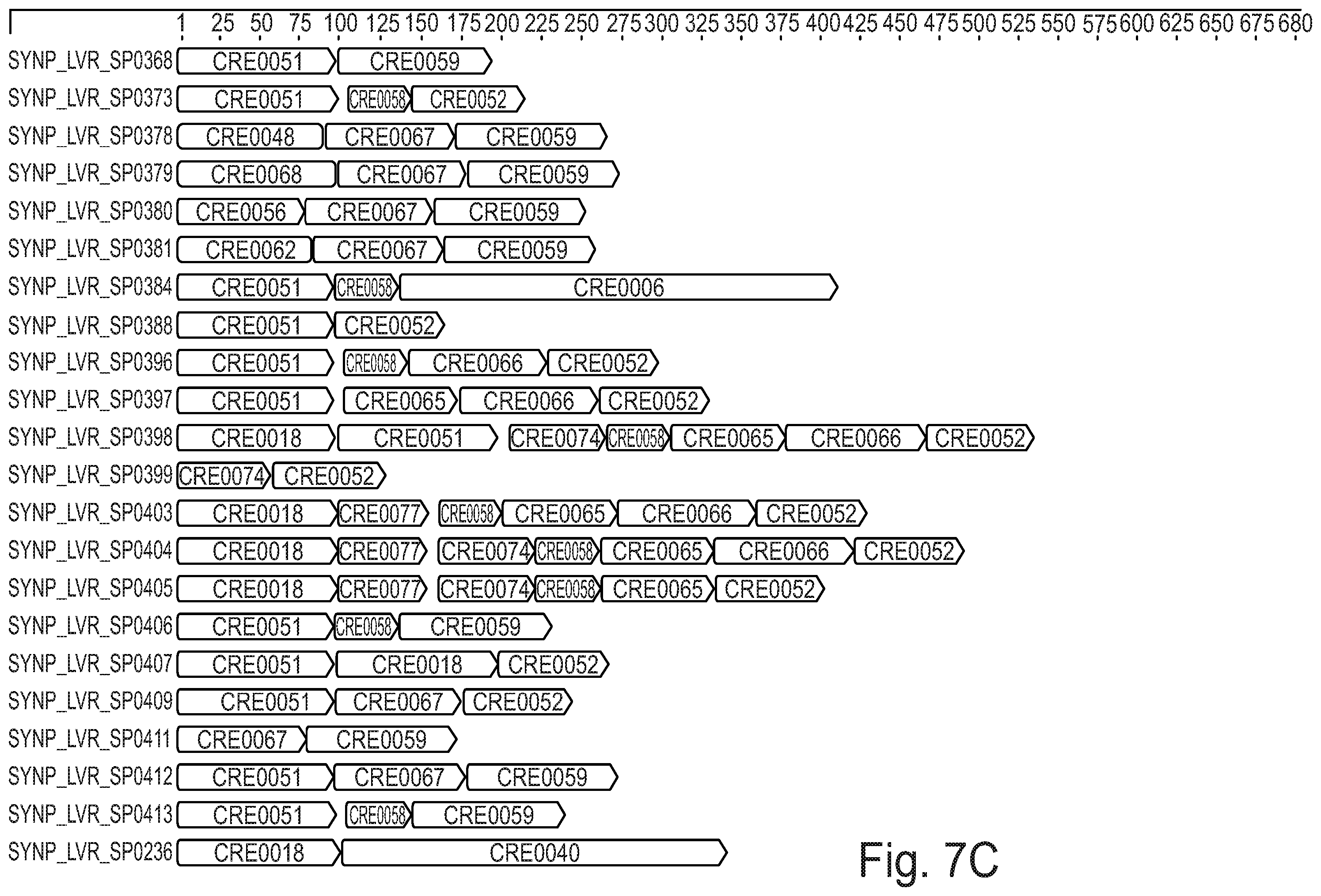 Patent US12590129 Figure 11 – Liver-specific regulatory nucleic acid sequences