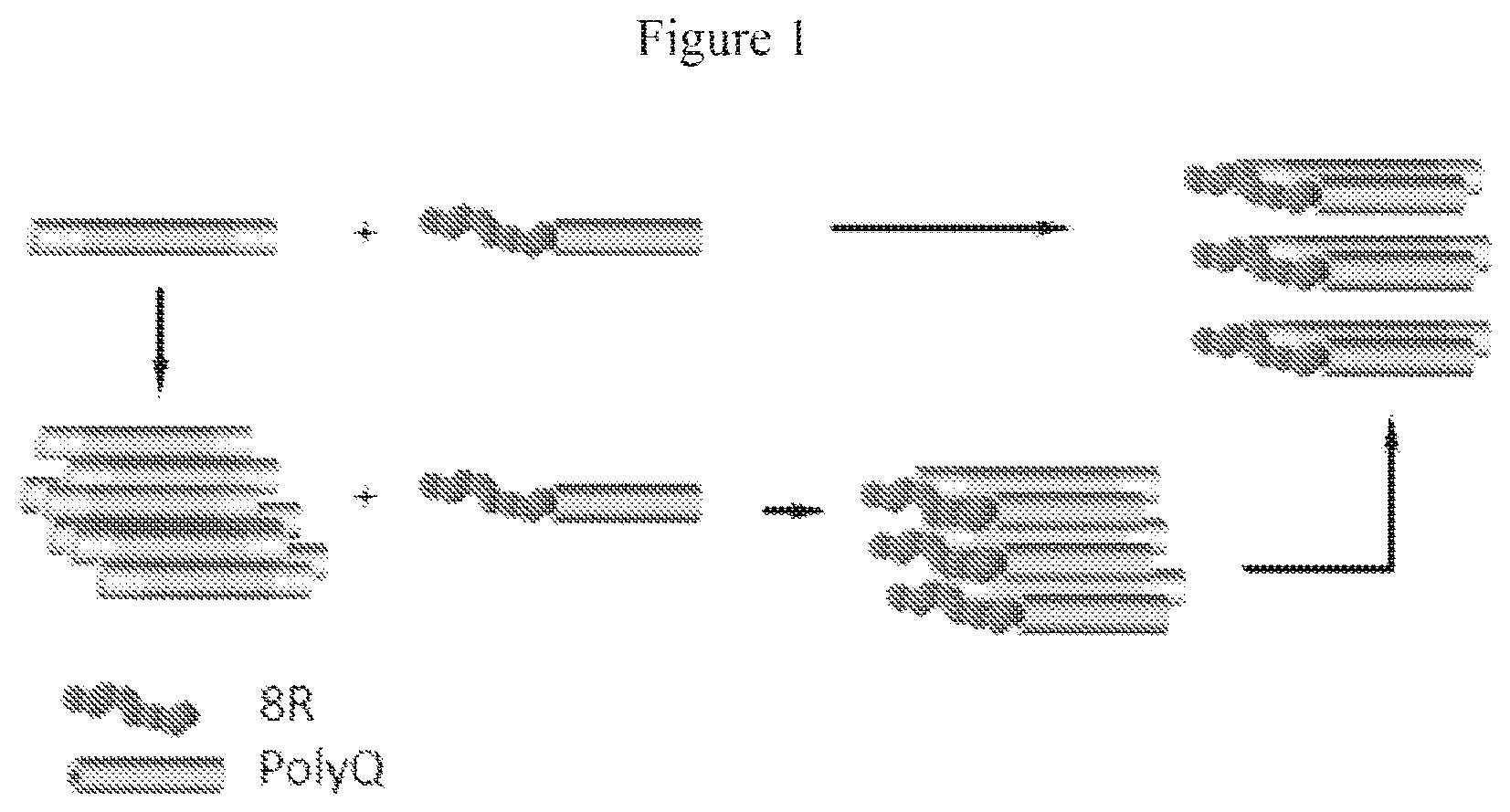 Patent US12590130 Figure 1 – Bipartite molecules and uses thereof in treating diseases associated with abnormal protein aggregates