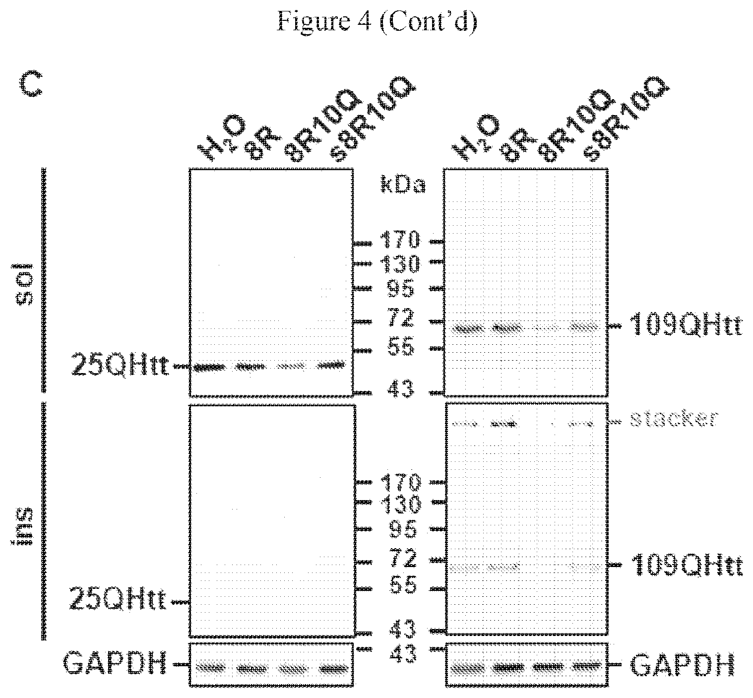 Patent US12590130 Figure 7 – Bipartite molecules and uses thereof in treating diseases associated with abnormal protein aggregates