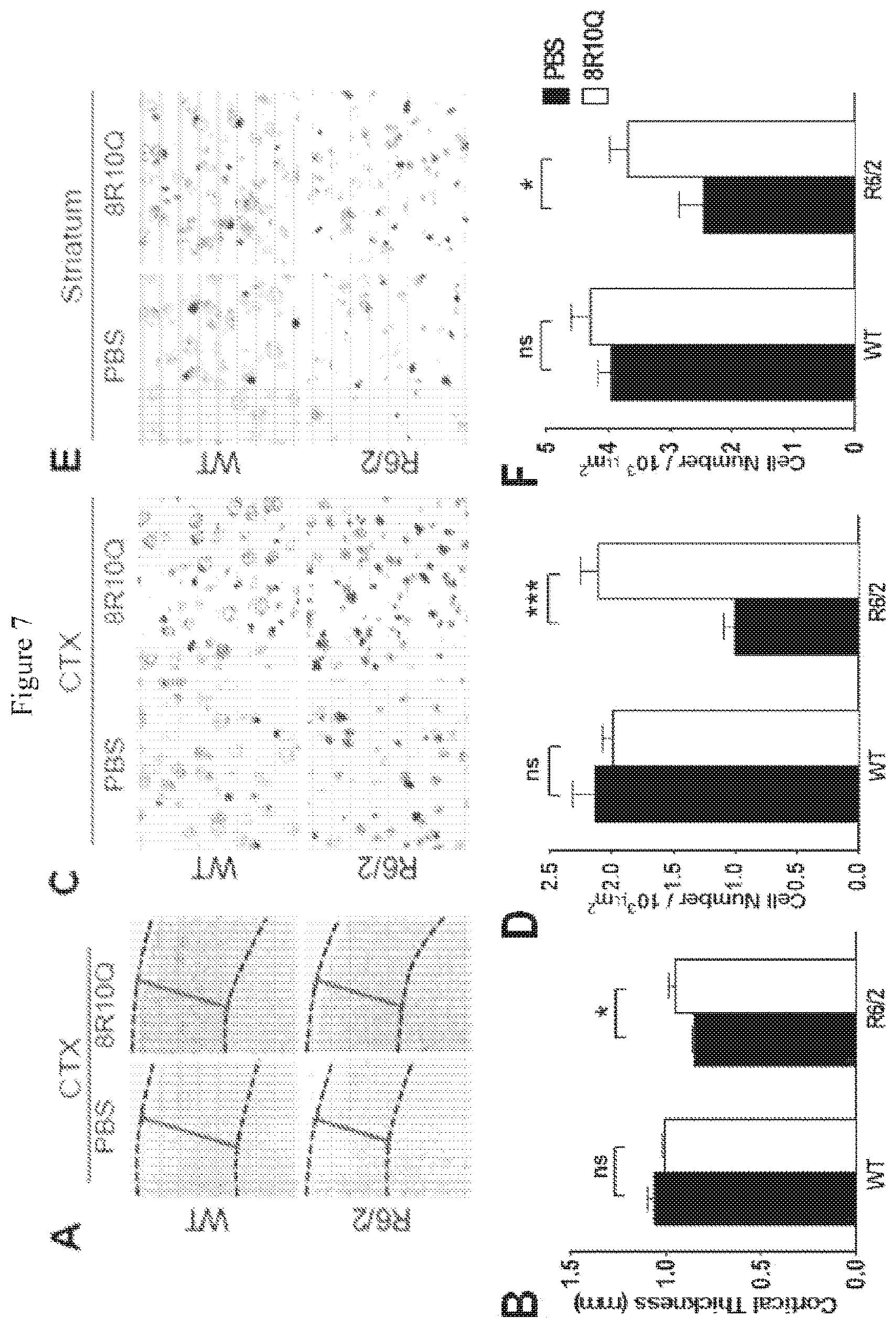Patent US12590130 Figure 13 – Bipartite molecules and uses thereof in treating diseases associated with abnormal protein aggregates