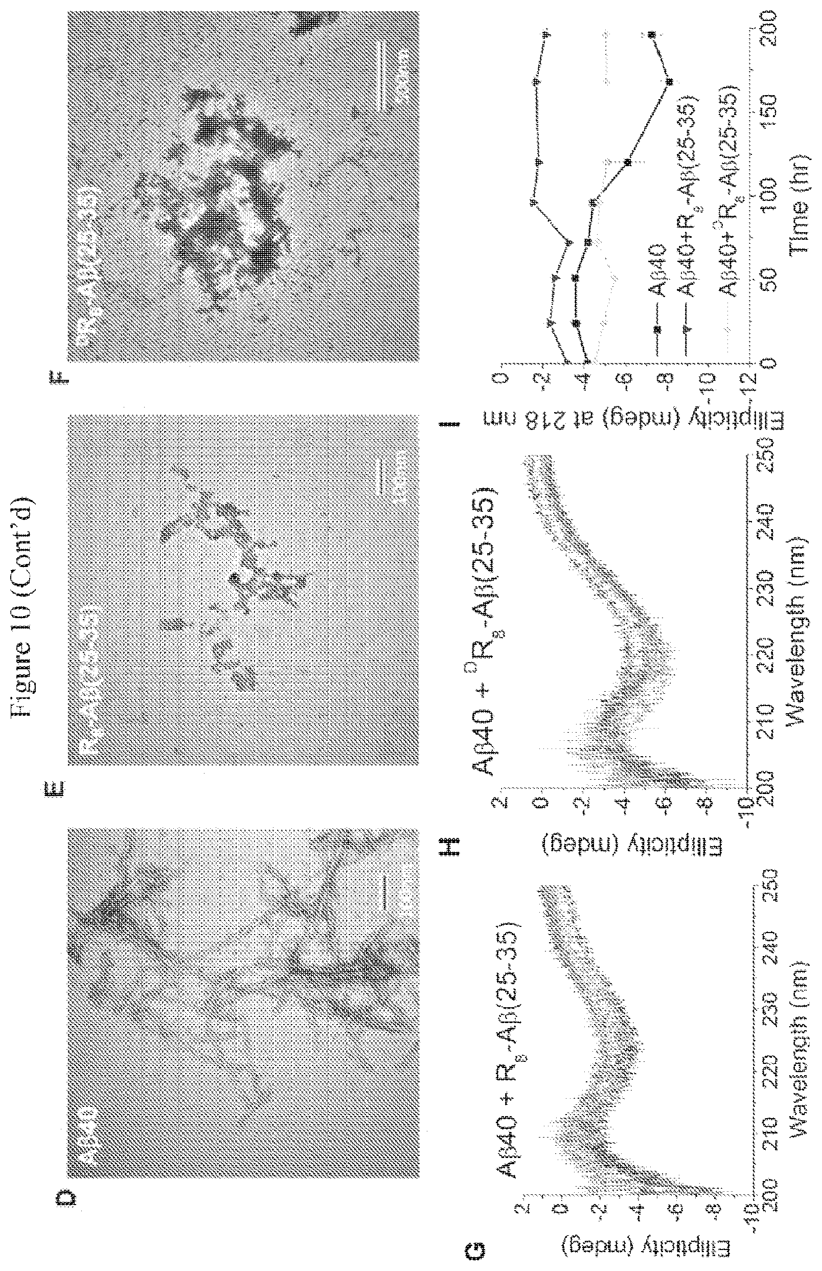 Patent US12590130 Figure 19 – Bipartite molecules and uses thereof in treating diseases associated with abnormal protein aggregates