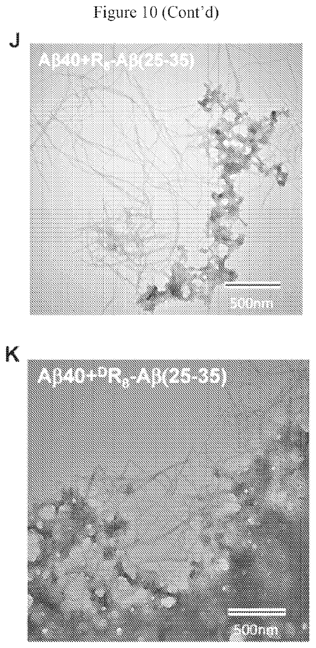 Patent US12590130 Figure 20 – Bipartite molecules and uses thereof in treating diseases associated with abnormal protein aggregates