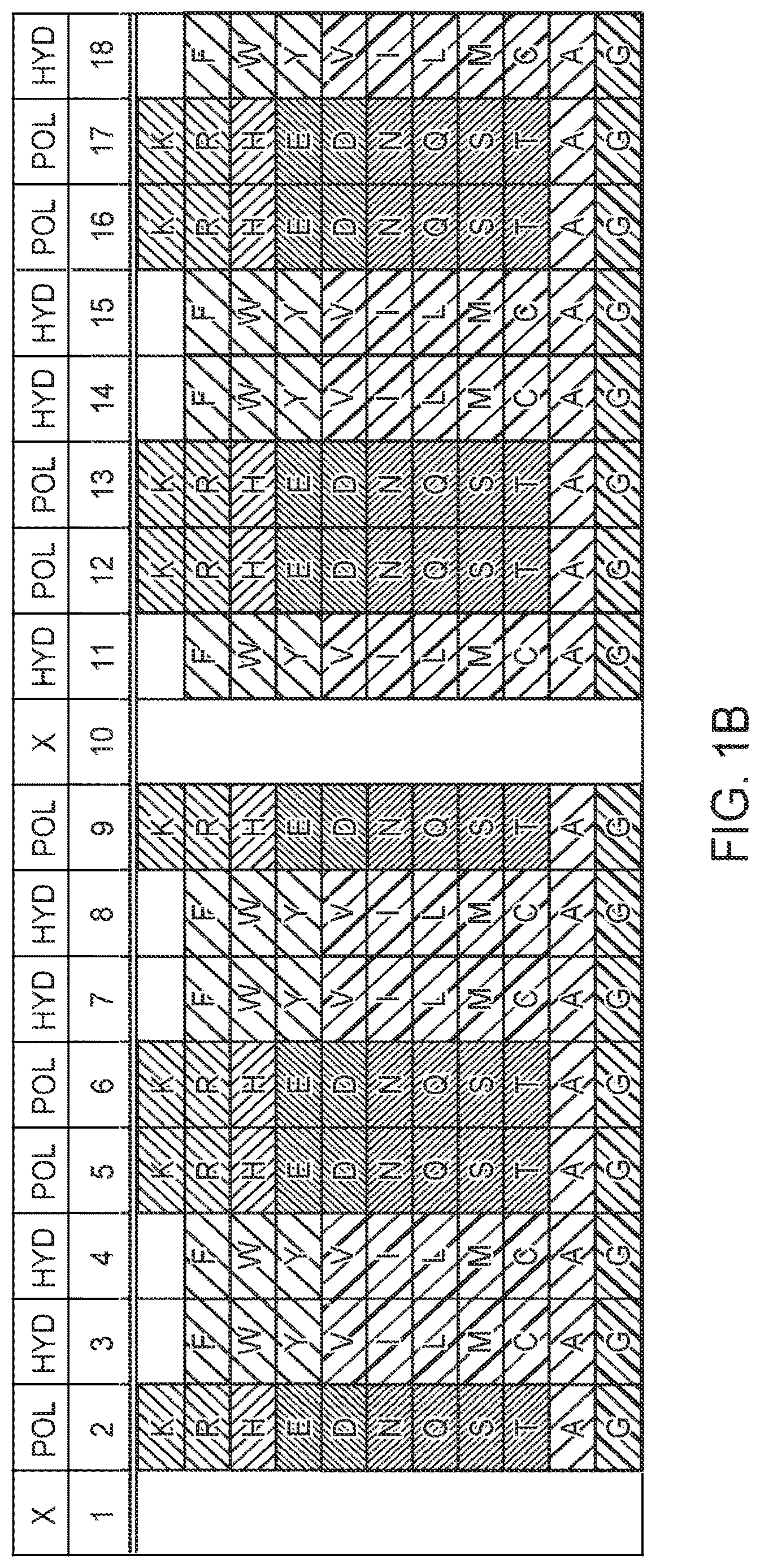 Patent US12590131 Figure 2 – Antimicrobial peptides with alpha-core helices