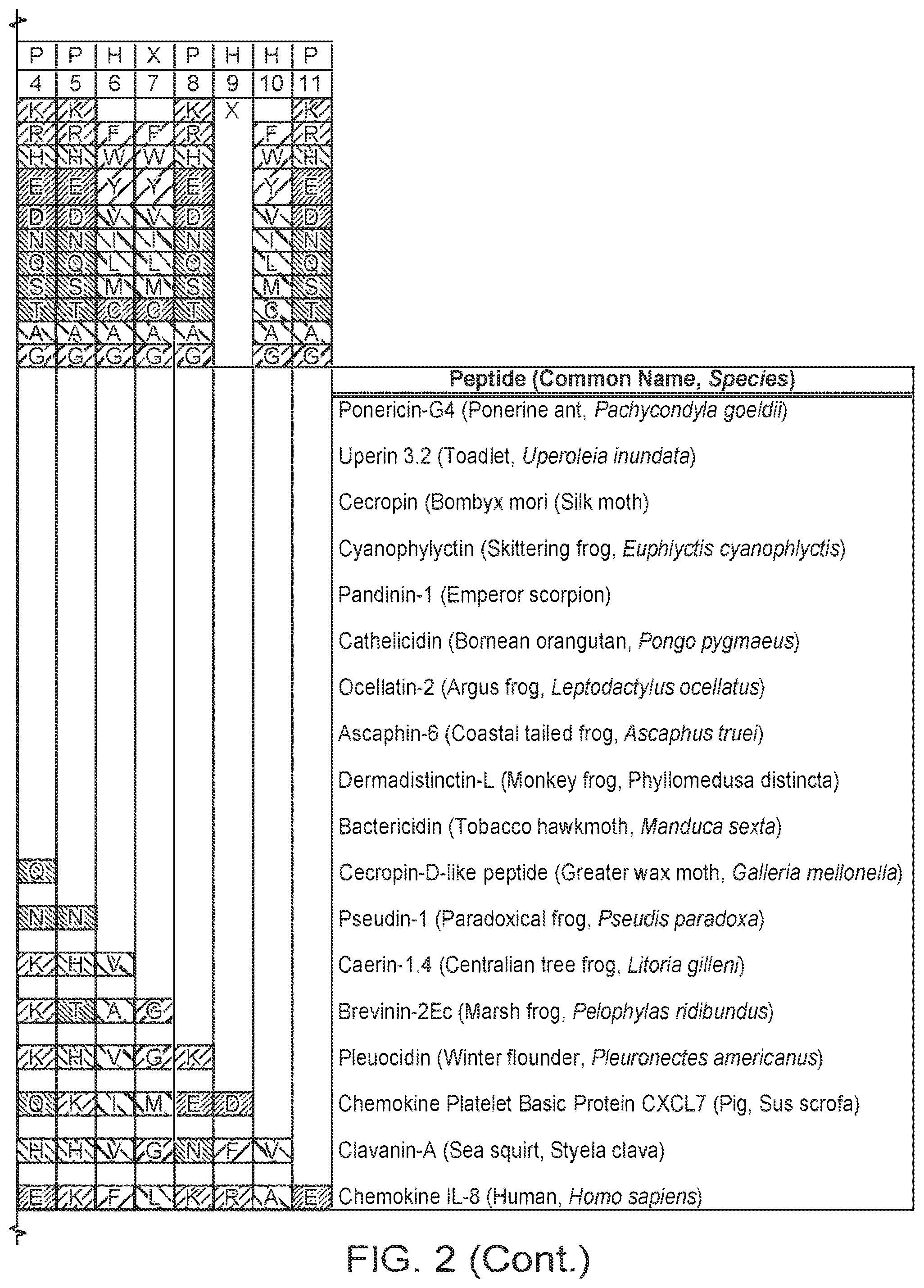 Patent US12590131 Figure 4 – Antimicrobial peptides with alpha-core helices