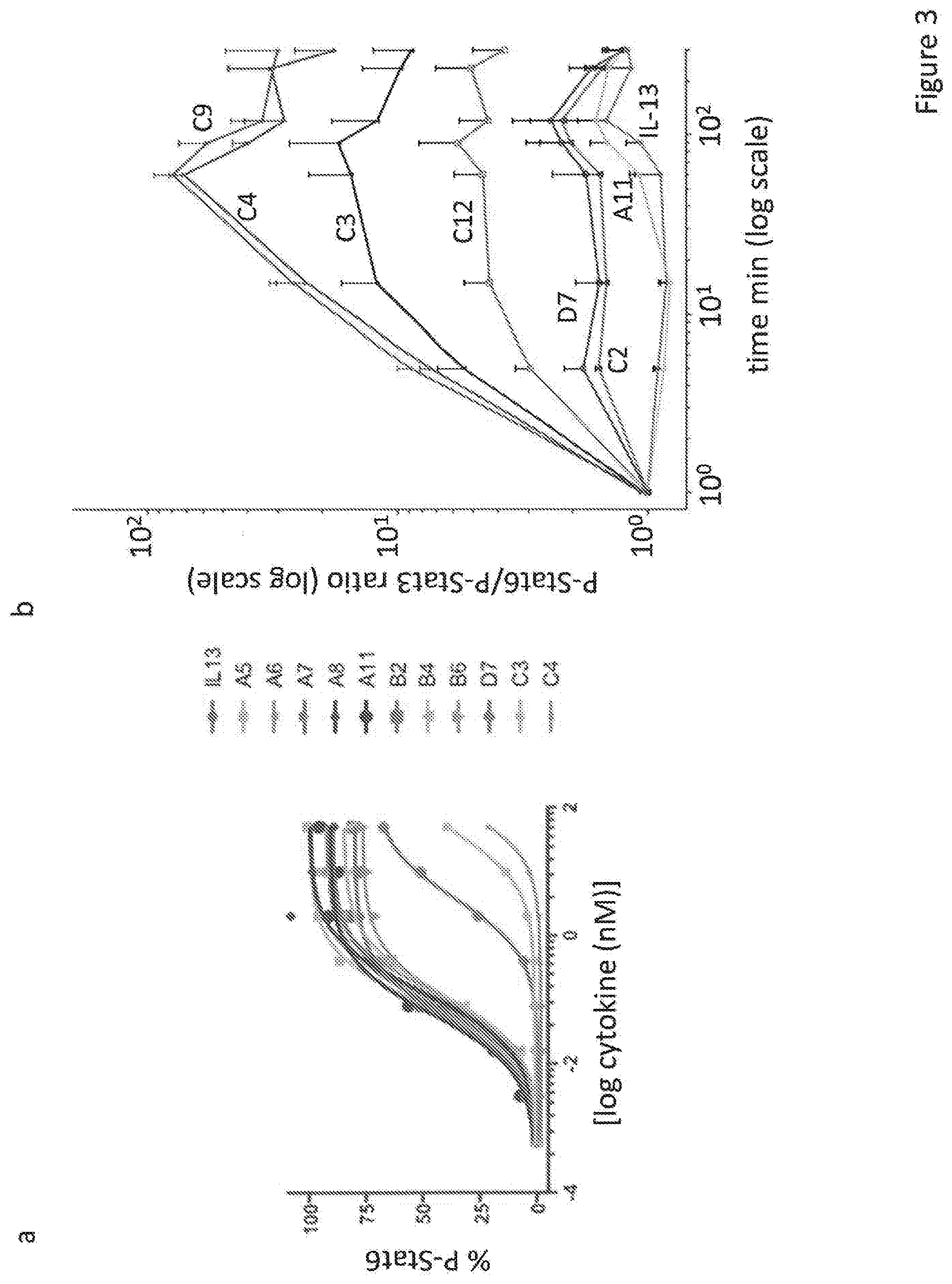 Patent US12590133 Figure 3 – IL-13/IL-4 superkines: immune cell targeting constructs and methods of use thereof