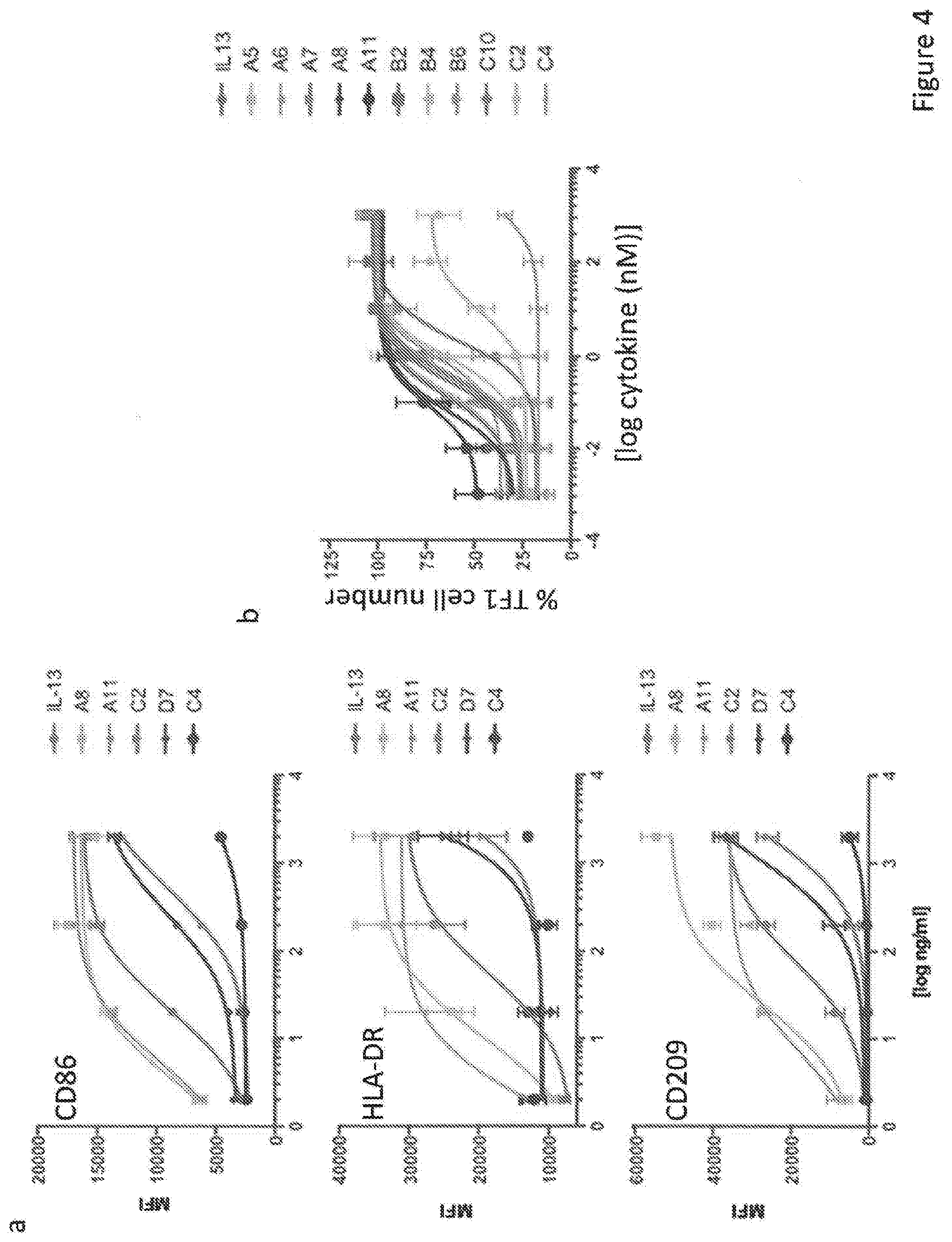 Patent US12590133 Figure 4 – IL-13/IL-4 superkines: immune cell targeting constructs and methods of use thereof