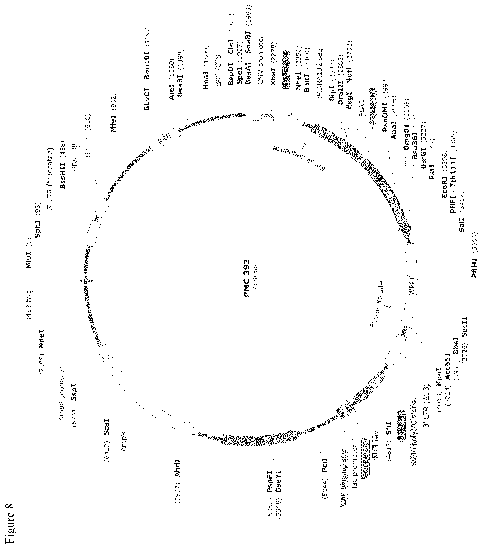 Patent US12590133 Figure 9 – IL-13/IL-4 superkines: immune cell targeting constructs and methods of use thereof