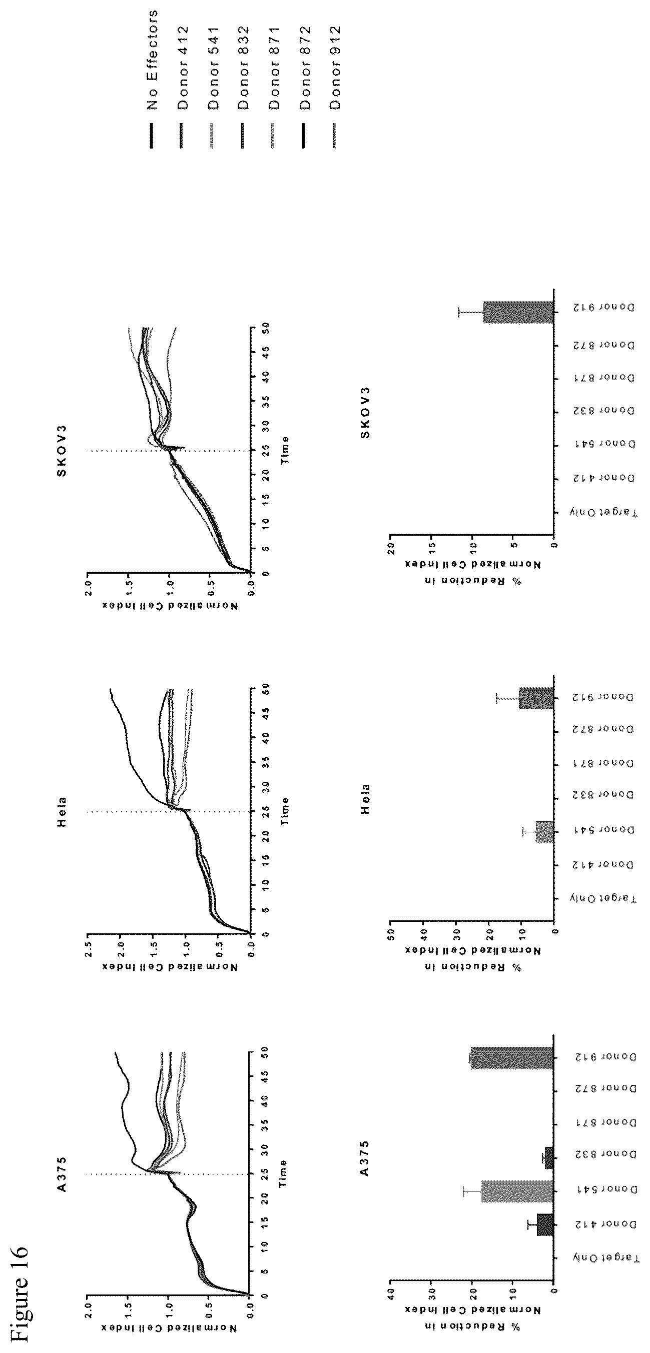 Patent US12590133 Figure 17 – IL-13/IL-4 superkines: immune cell targeting constructs and methods of use thereof